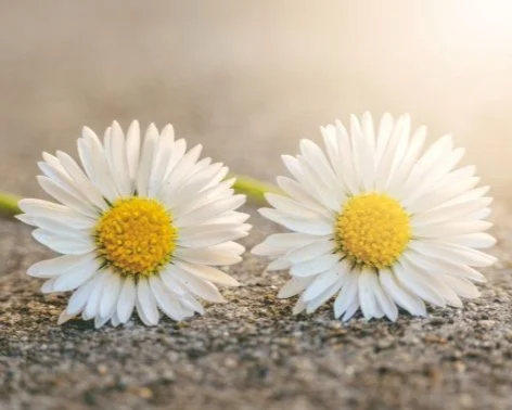 How Somatic Therapy Differs from EMDR