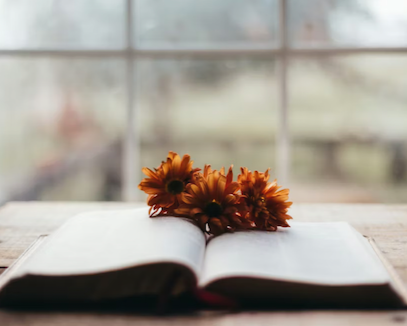 What Is Past Life Regression Therapy and How Can It Help You?