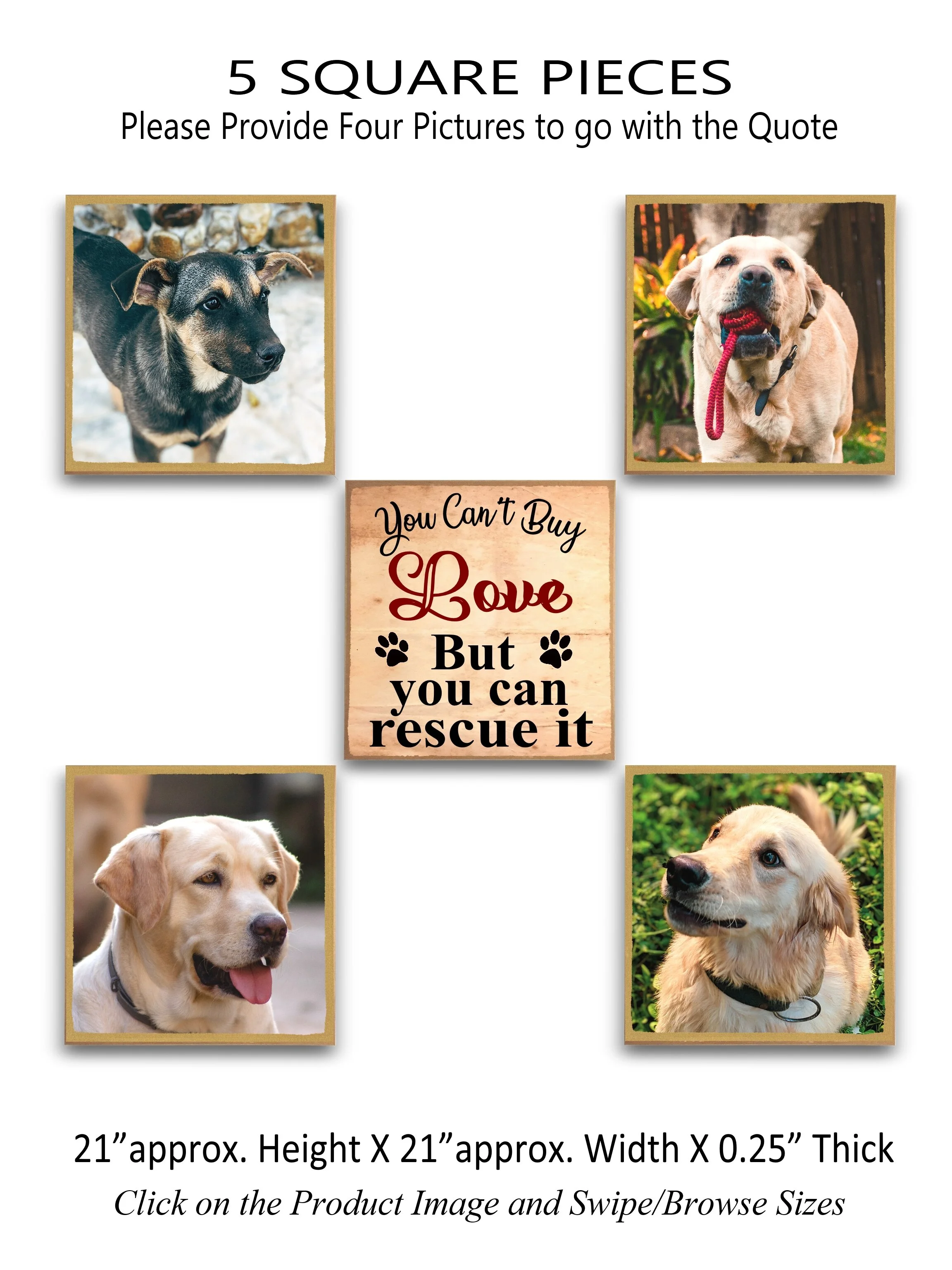 6.You can't buy love but you can rescue it 5 Square.jpg