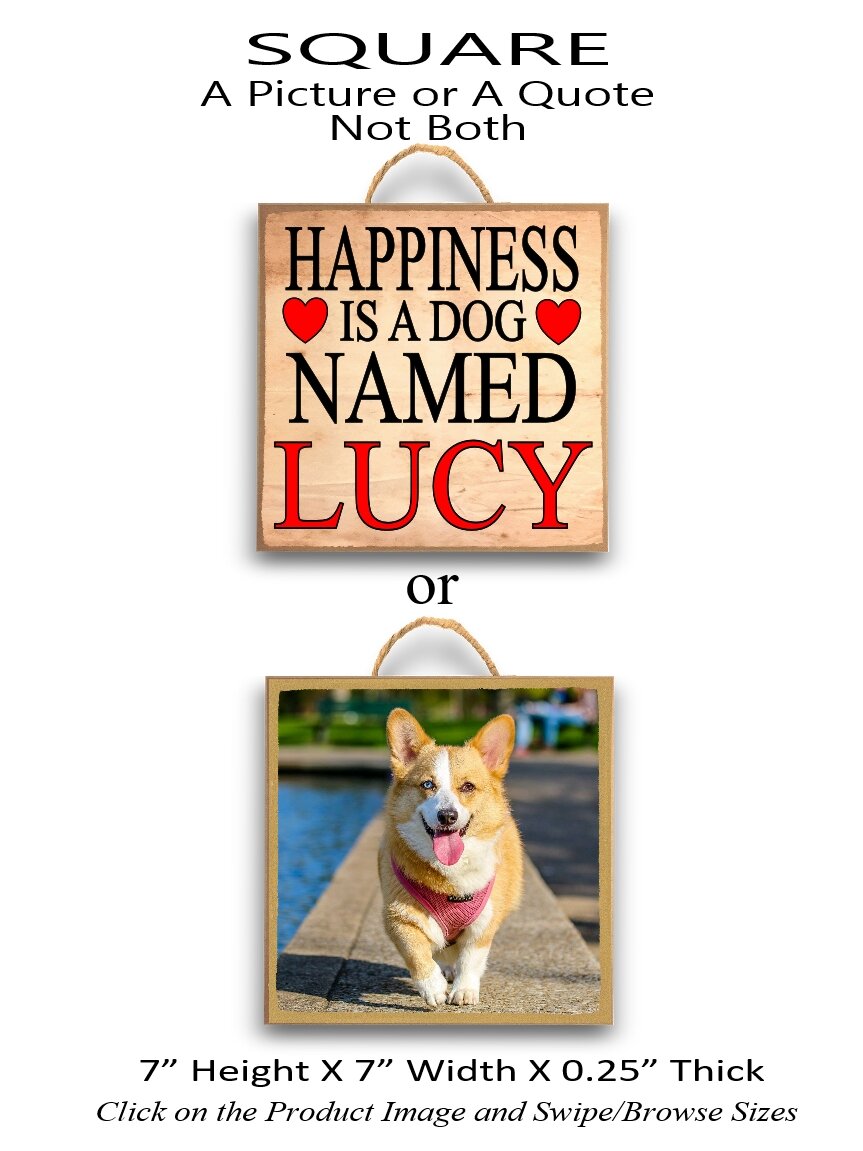 9.Happiness is a dog named Square.jpg