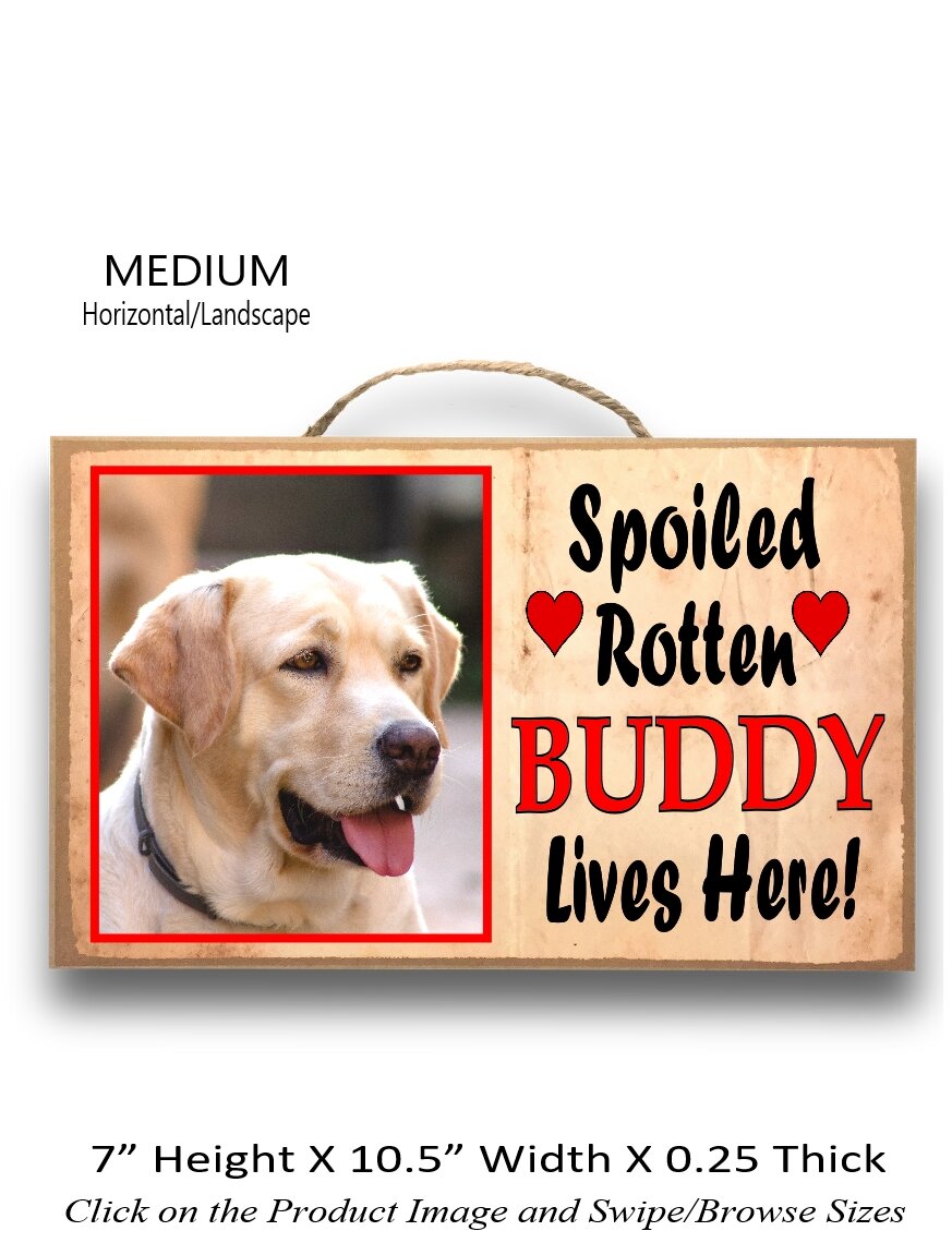 2.Spoiled Rotten lives here Medium Horizontal.jpg