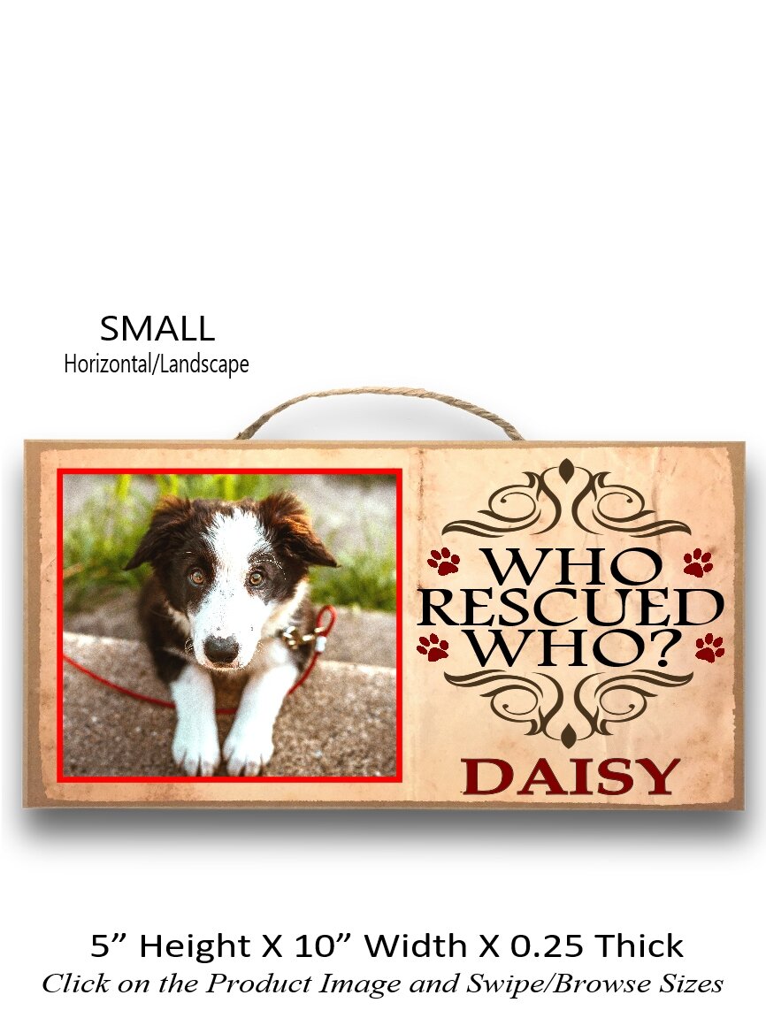 5.Who Rescued Who Small Horizontal.jpg