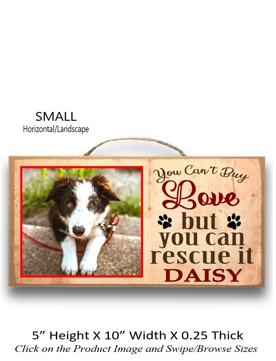 6.You can't buy love but youcan rescue it Small Horizontal.jpg