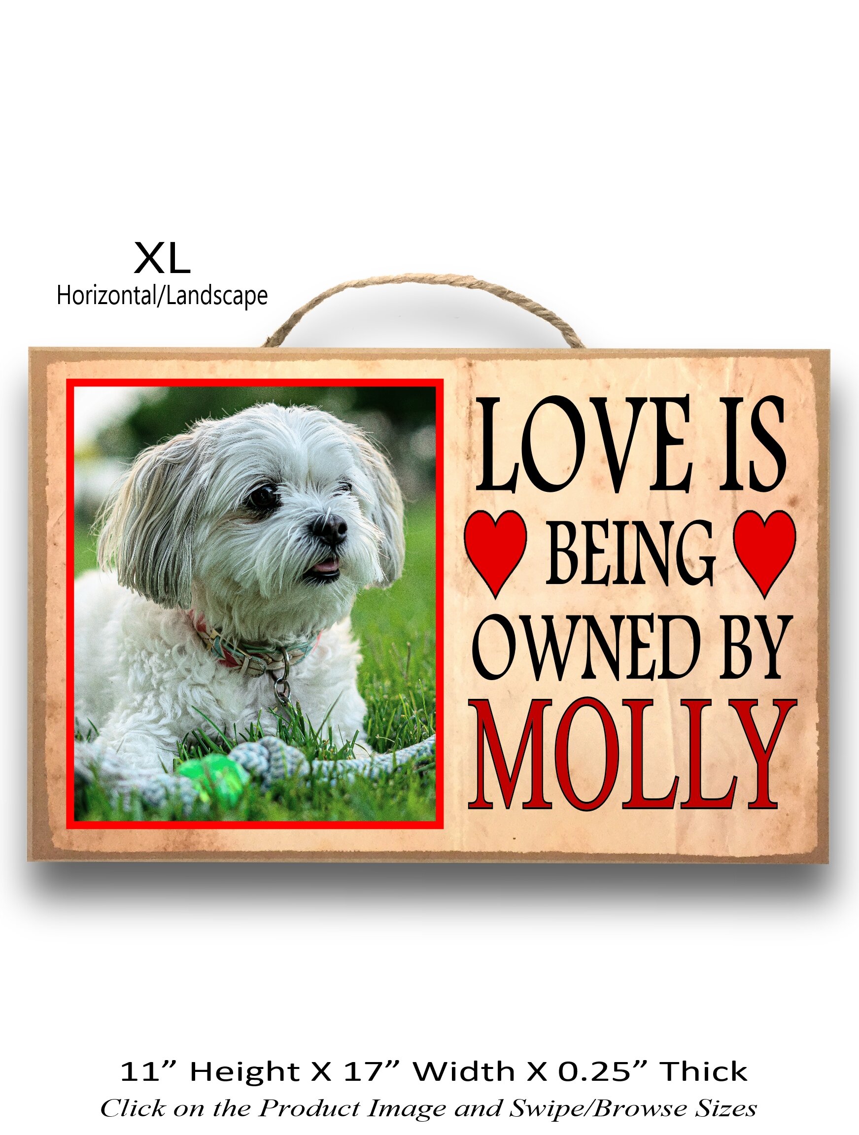7.Love is being owned byXL Horizontal.jpg