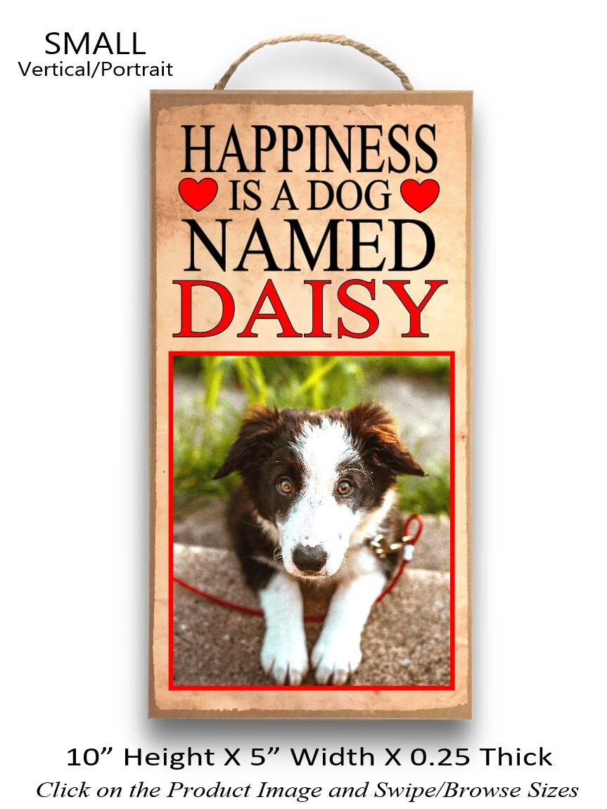 8.Happiness is a Dog named Small Vertical.jpg