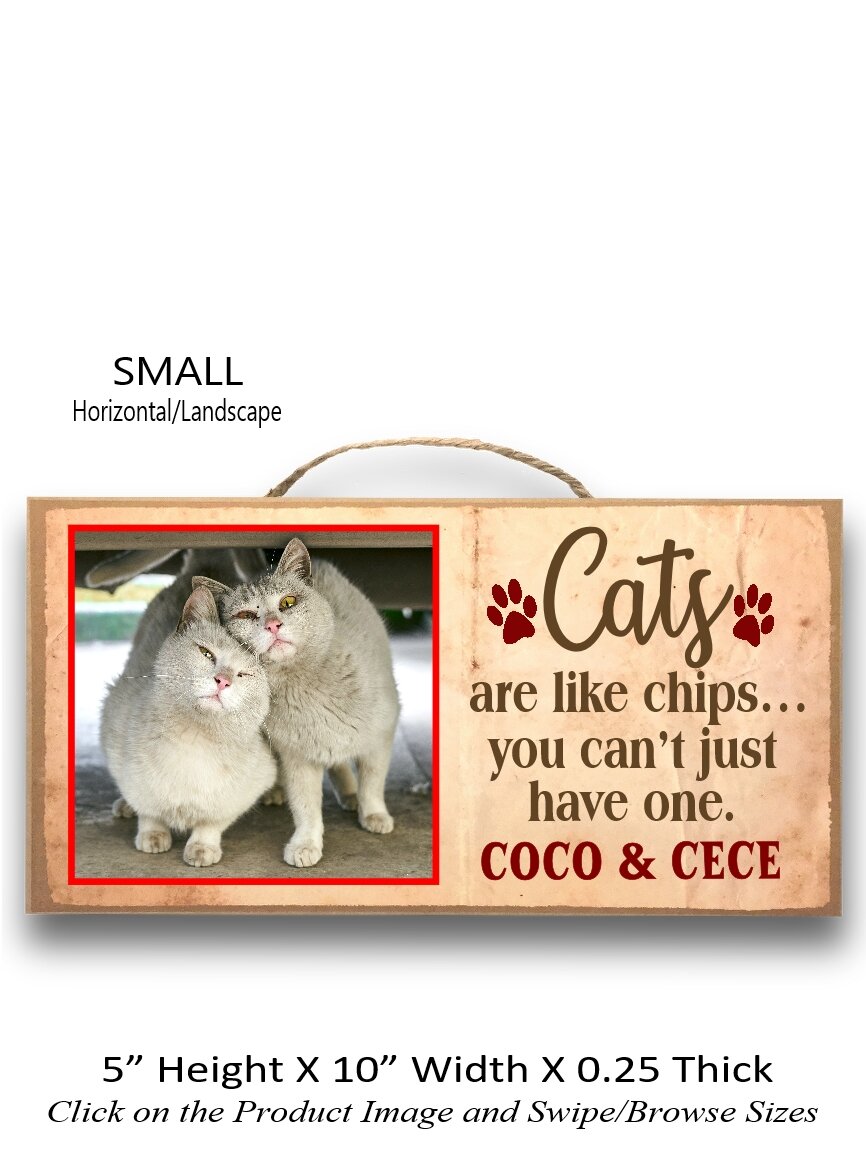 3.Cats ae like Chips you can't just have one Small Horizontal.jpg