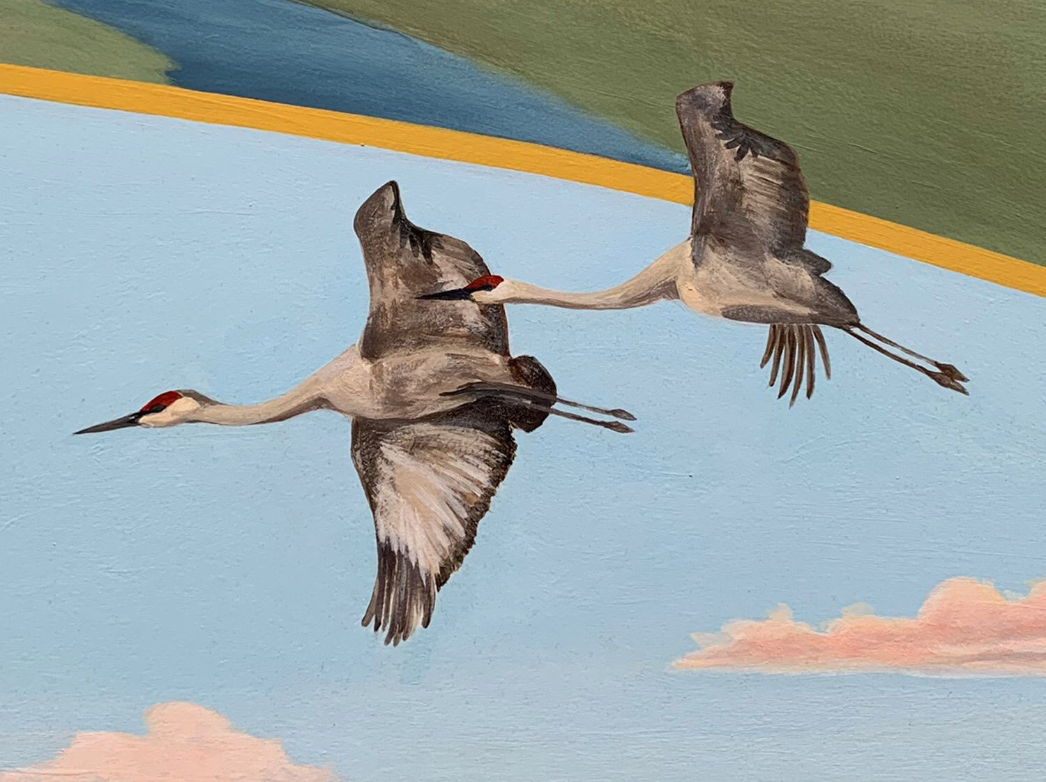 S_SandhillCranes.jpg
