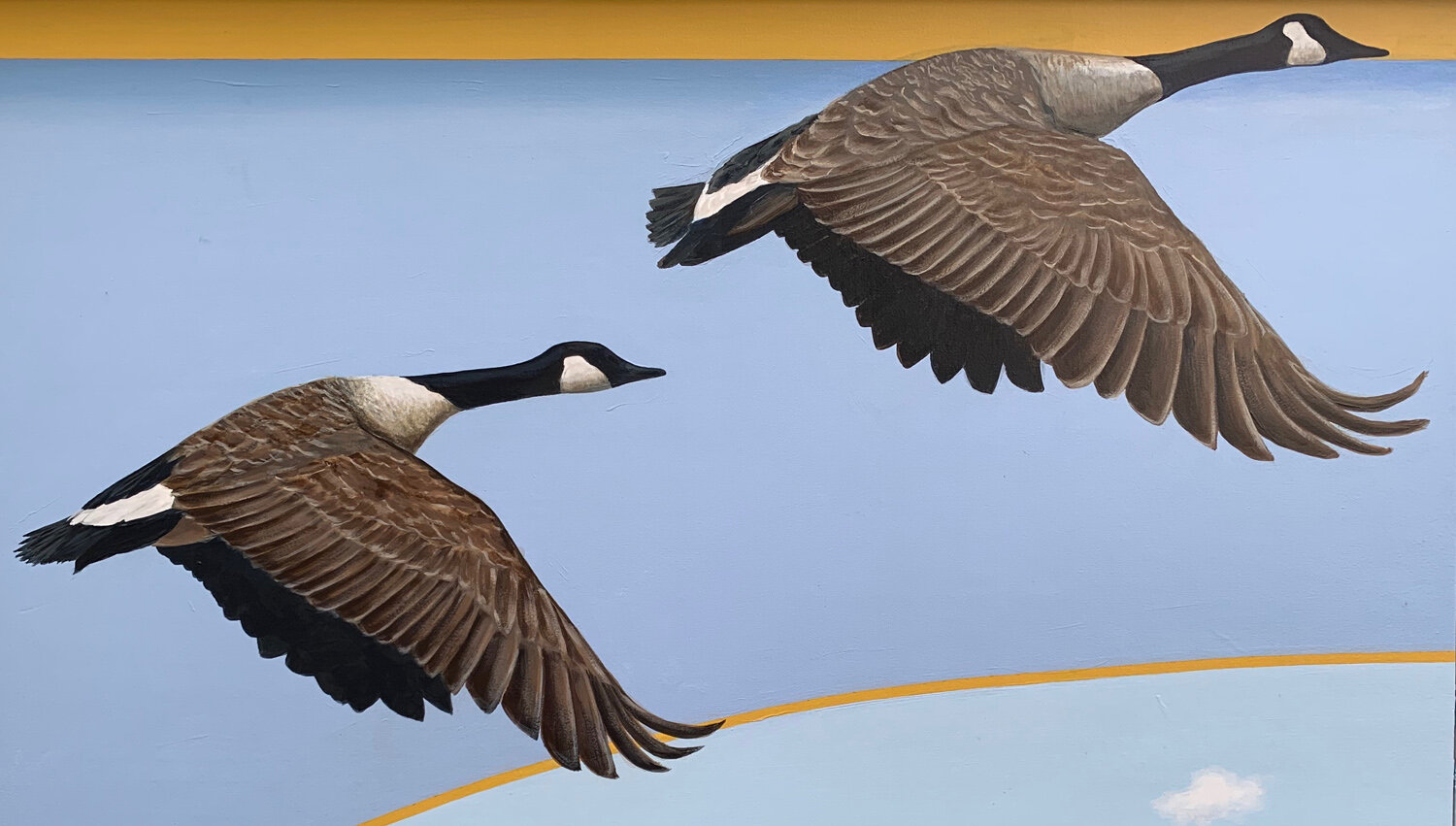 S_Indigenous Det Geese.jpg
