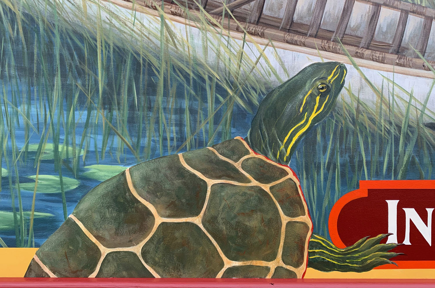 S_Indigenous Det_Turtle.jpg