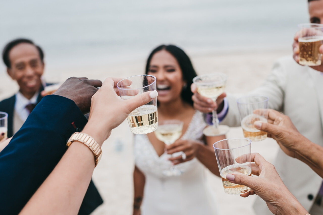 Family toasting the happy couple