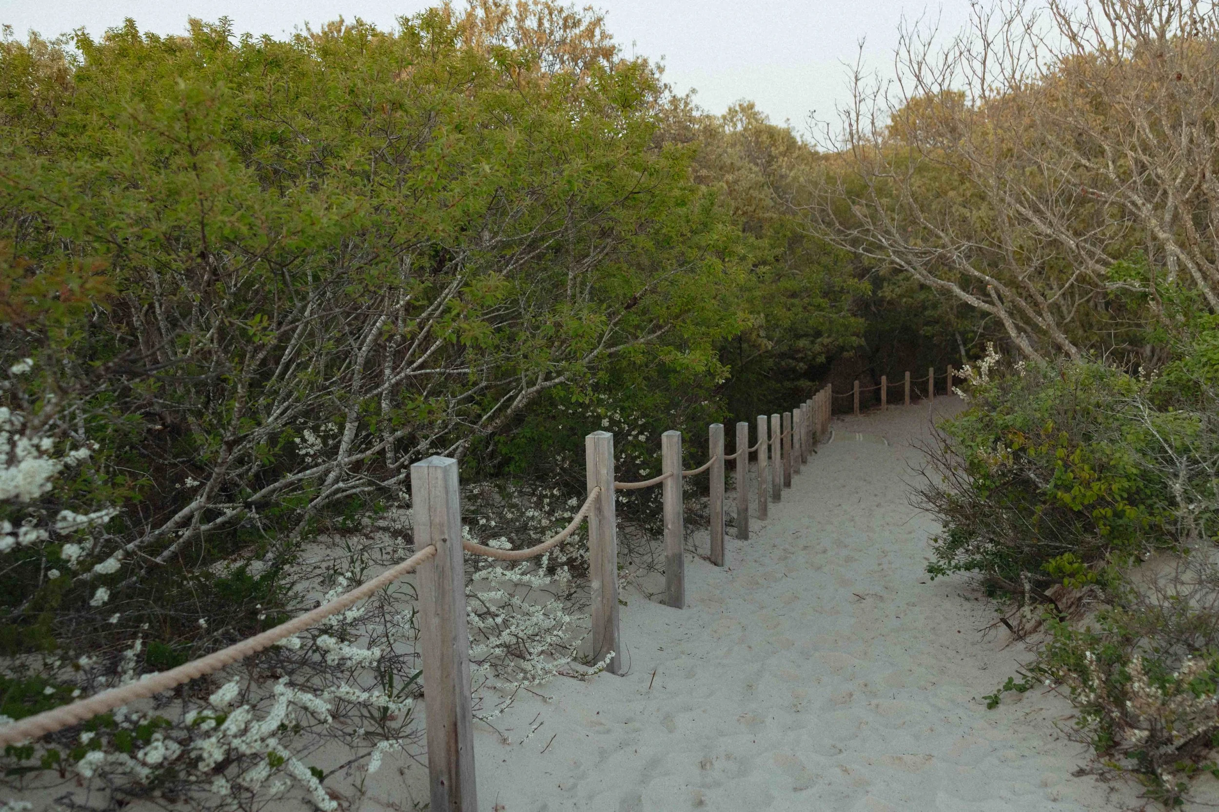Sandy Path to a Martha’s Vineyard Beach Elopement