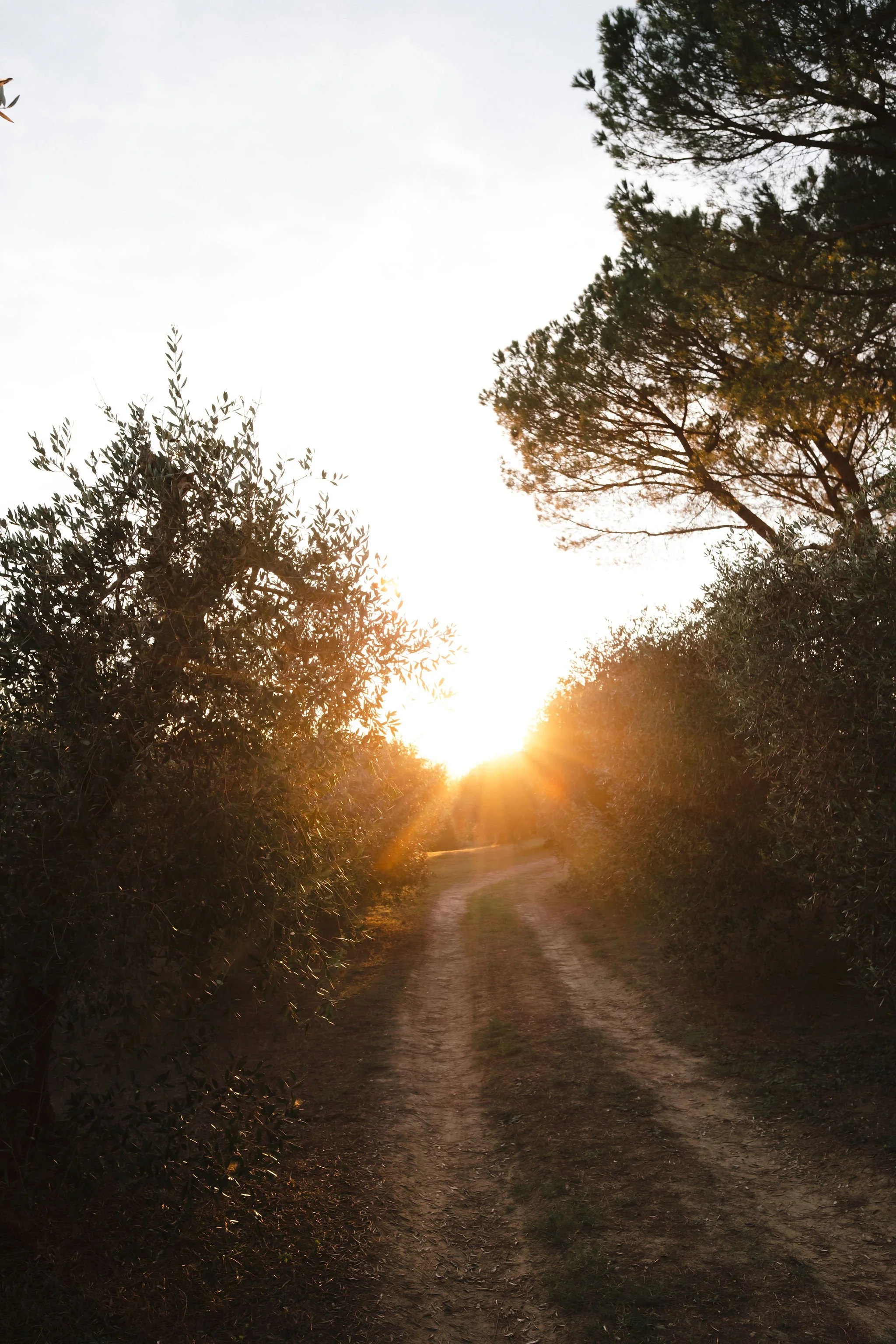 EclecticEleganceLLC_Tuscany-Wedding-23.jpg