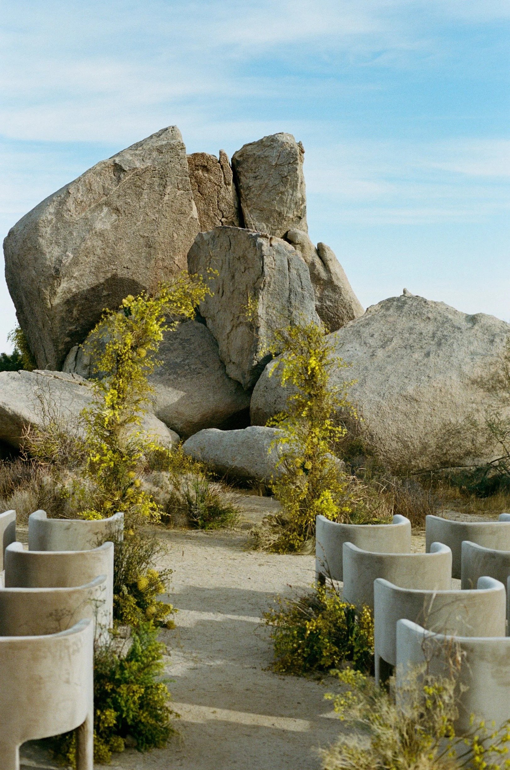 EclecticEleganceLLC_PalmSpringsW (1).jpg