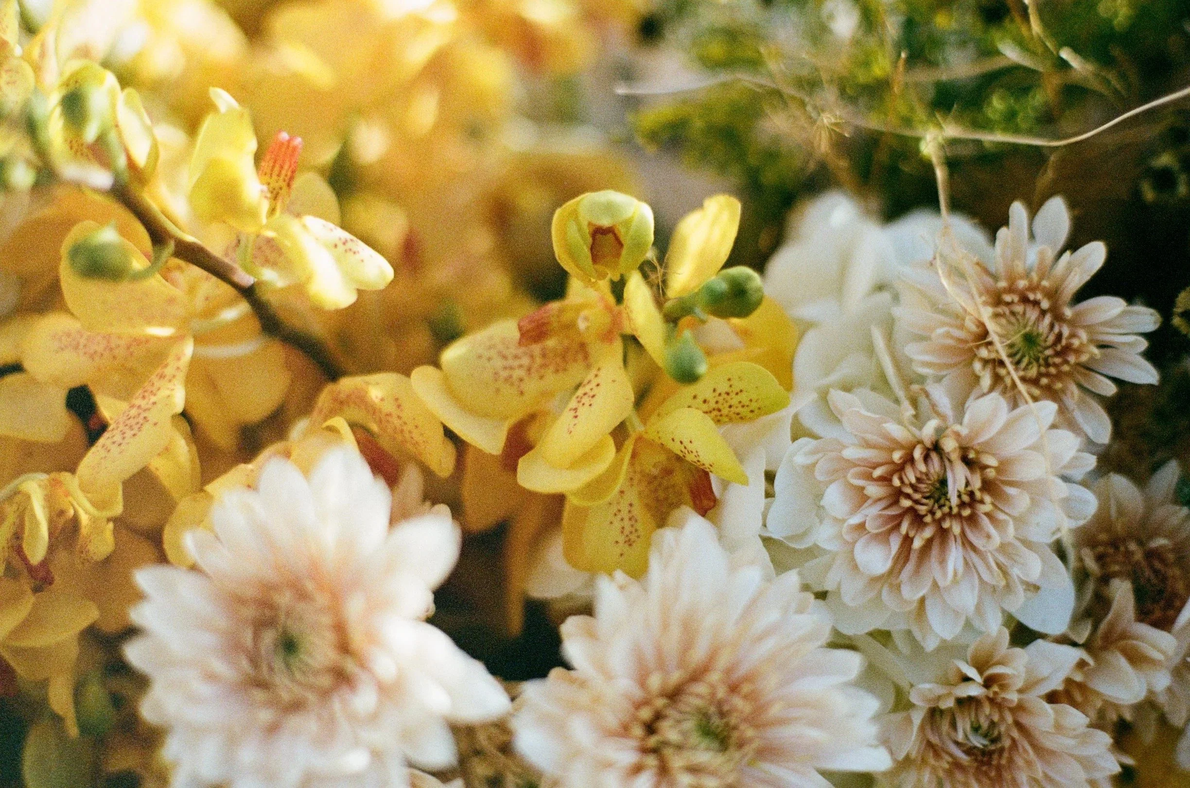 EclecticEleganceLLC_PalmSpringsW (3).jpg