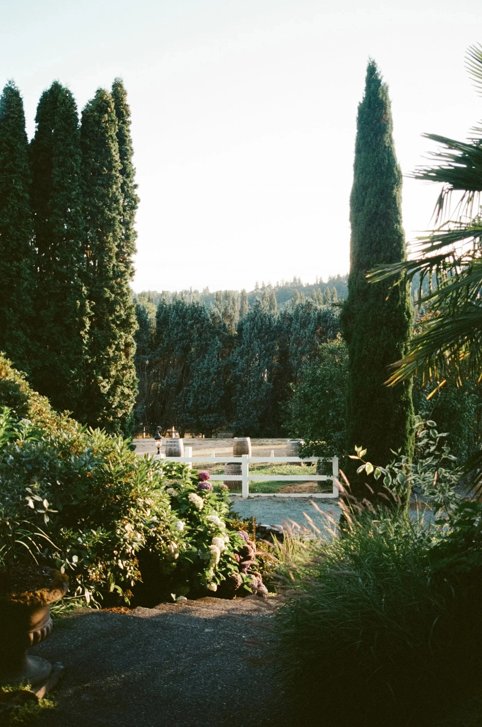 EclecticEleganceLLC_Seattle_FILM (1).jpg