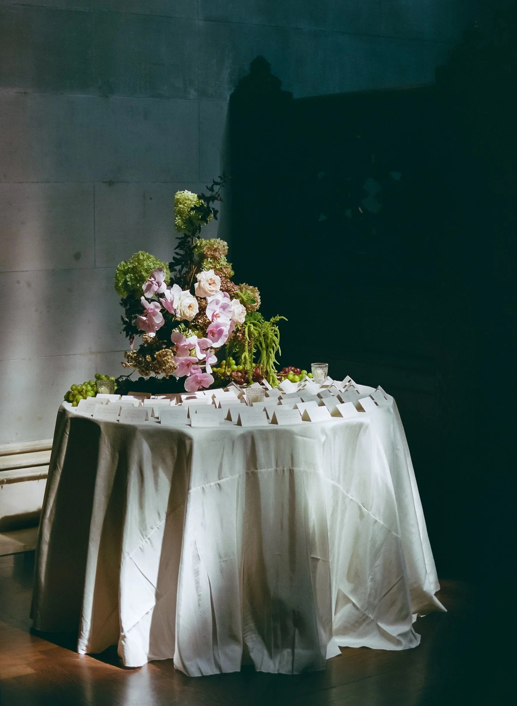 EclecticEleganceLLC_Serena_FILM (1).jpg