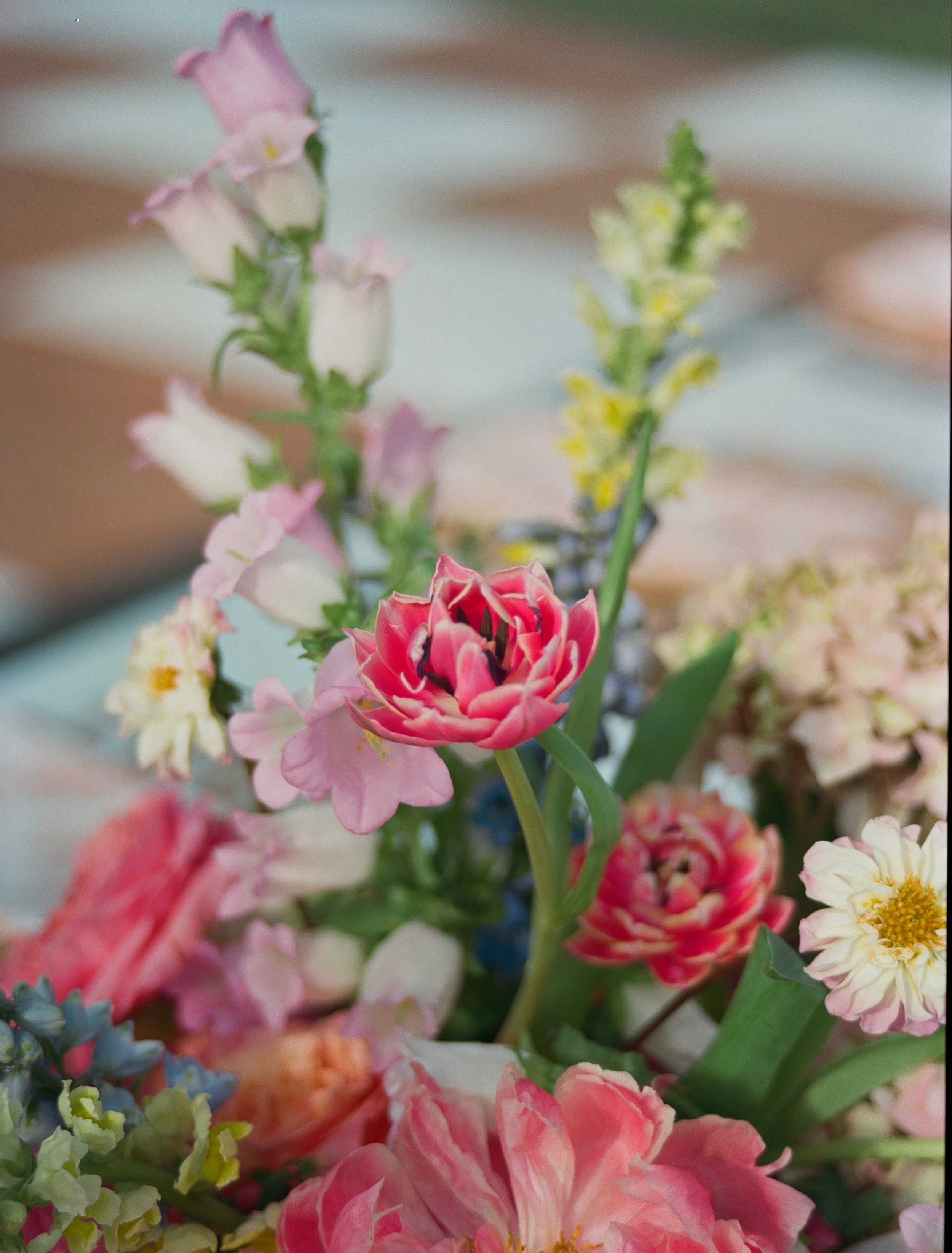 EclecticEleganceLLC-Casa-Marina-Wedding-FILM-26.jpg