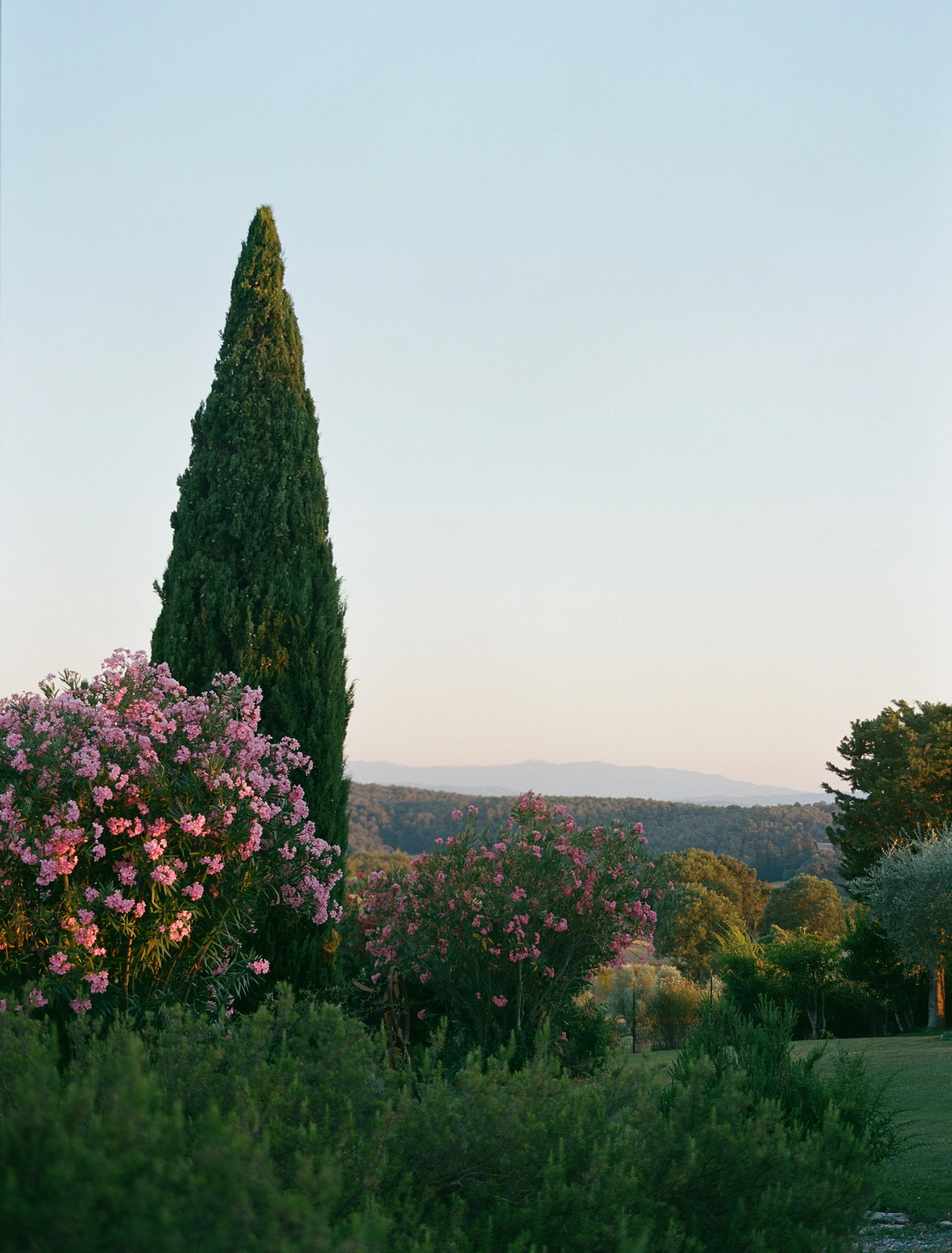 EclecticEleganceLLC-Tuscany-Wedding-FILM-186.jpg