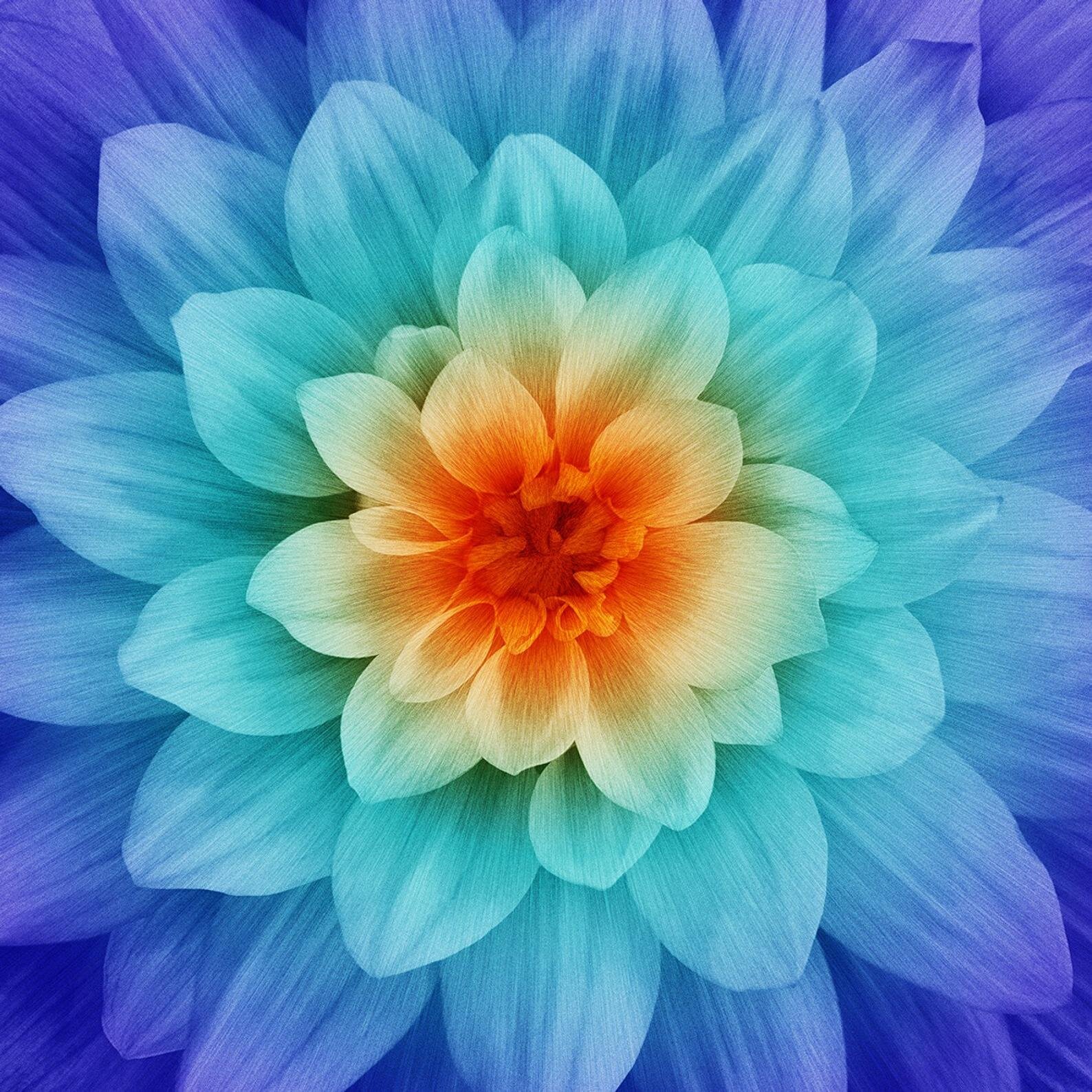 6824F55D-92BF-41F5-A1D4-AABA8F212870.jpeg