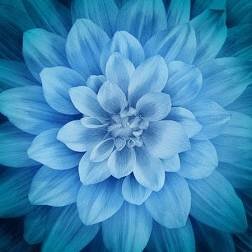 904B21B4-67FC-49A1-A6CA-9731303C2E8C.jpeg