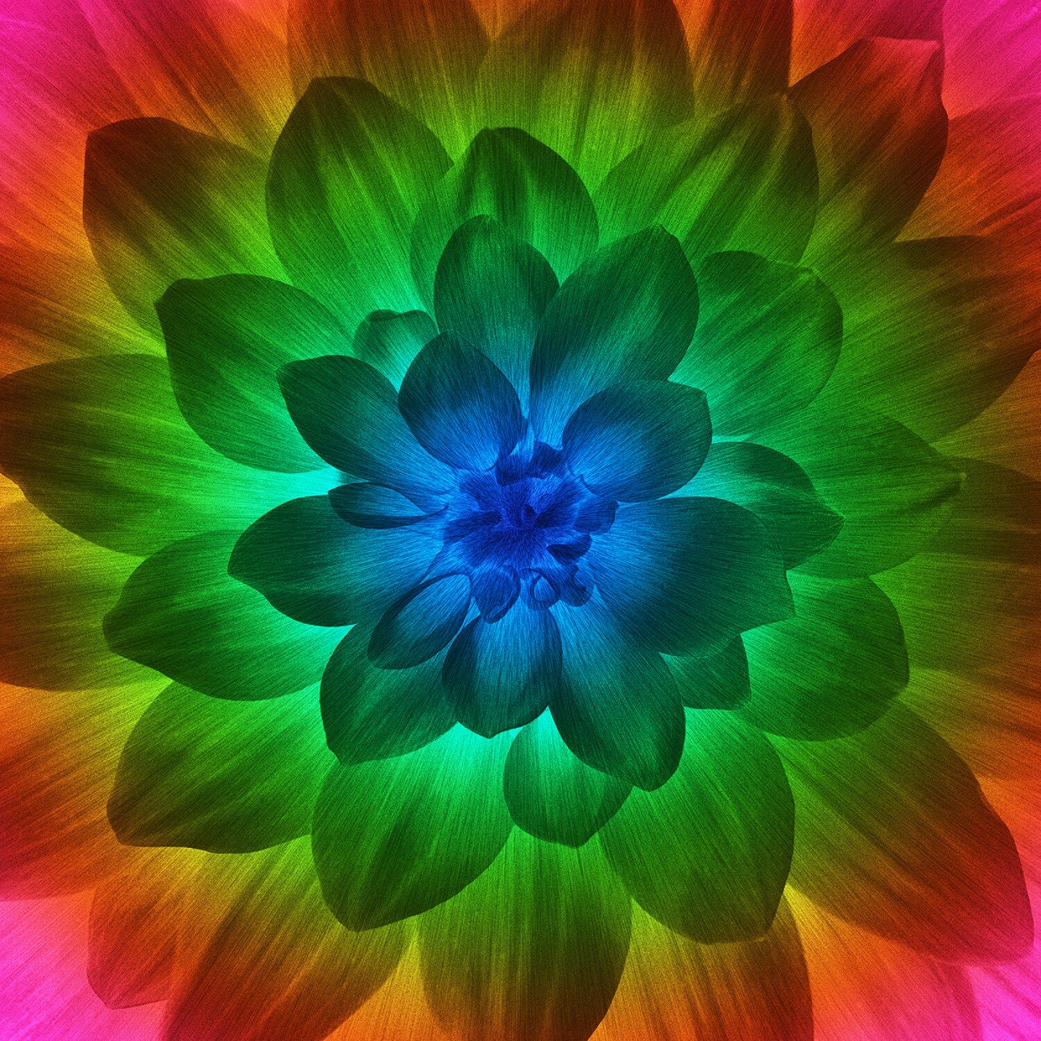 7183E0BE-E319-462D-A7FC-06BD08962B1D.jpeg