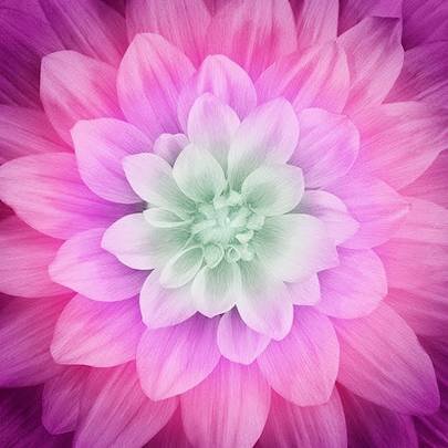 6809BB24-6C9E-4643-971A-558907F843A2.jpeg