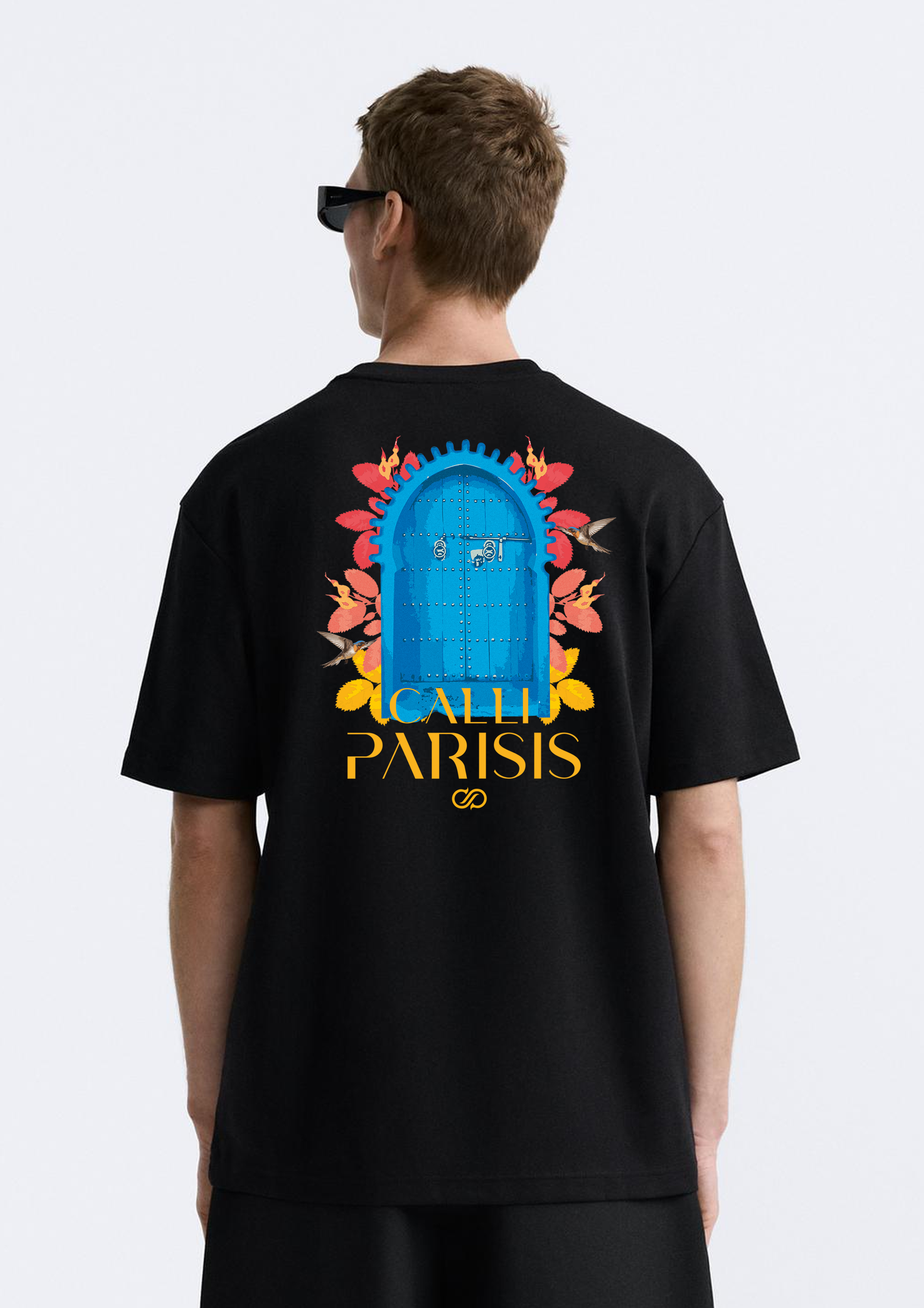 chaouen_model.png