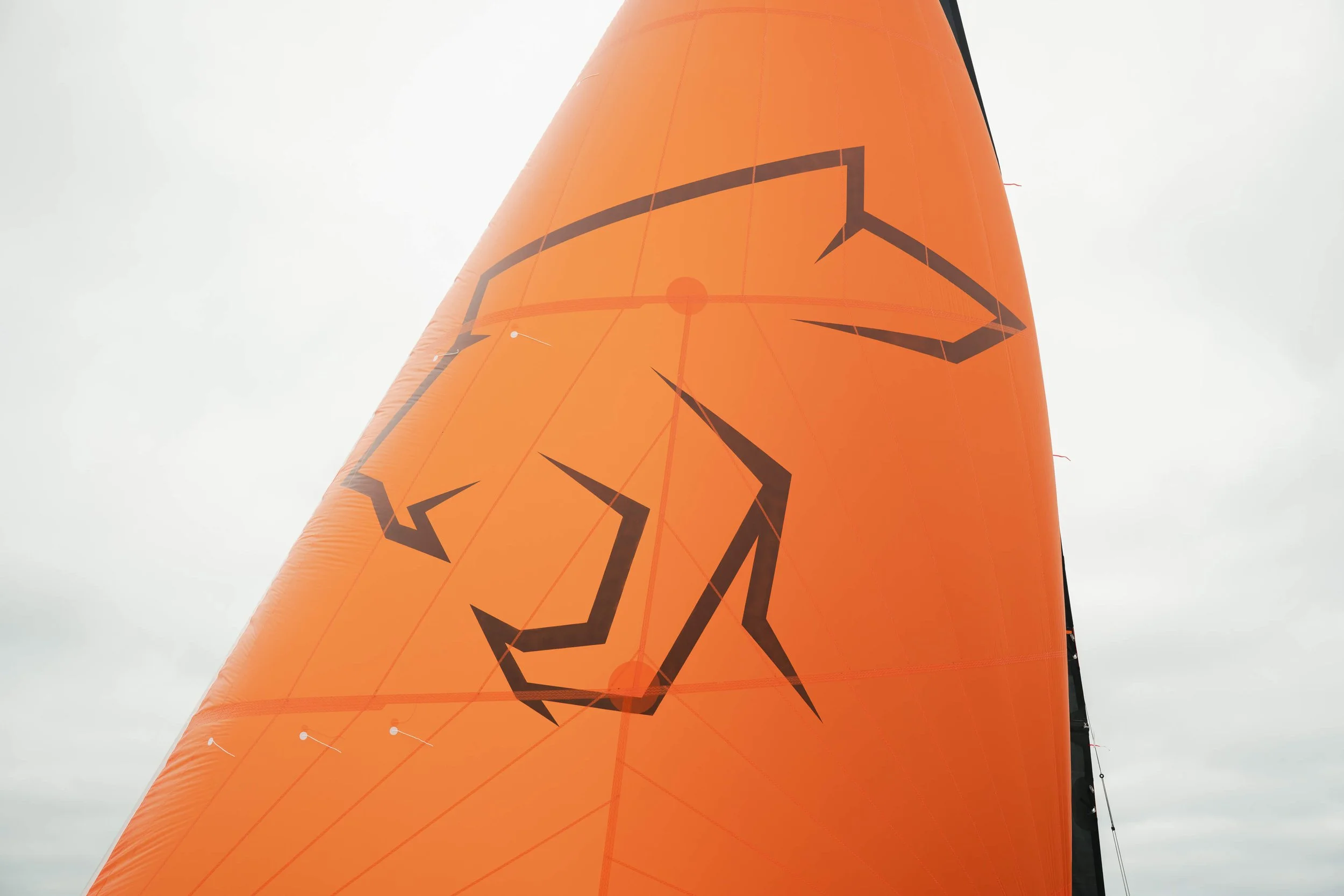 SAFFIER_SE28_LEOPARD_LEISURE-51.jpg.jpeg