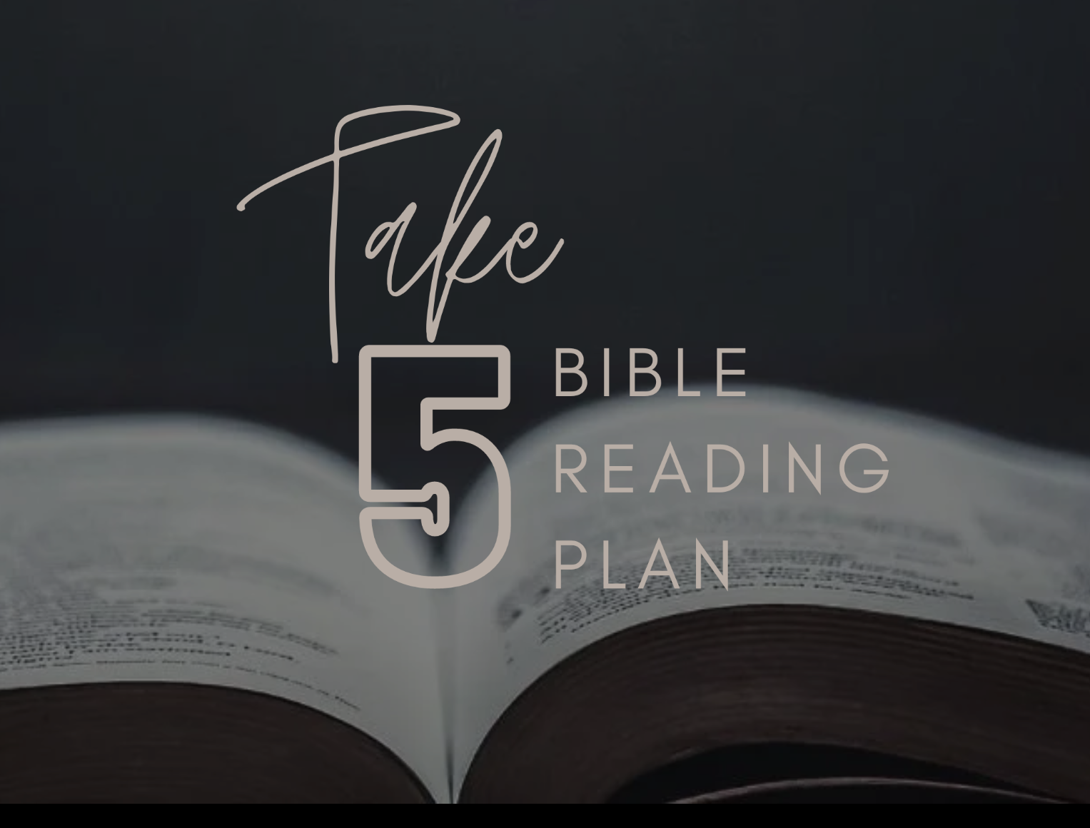 Take 5 bible study plan.png