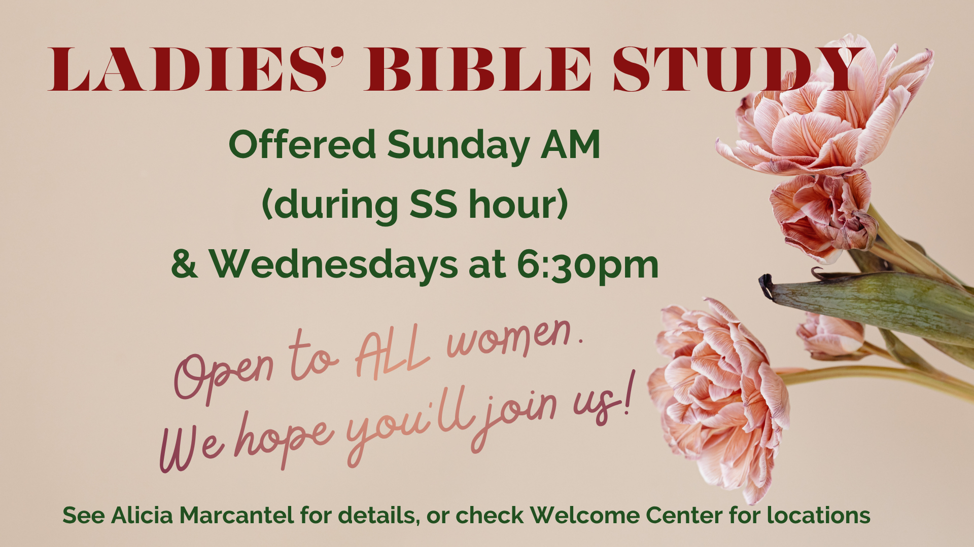 Ladies bible study ad.png