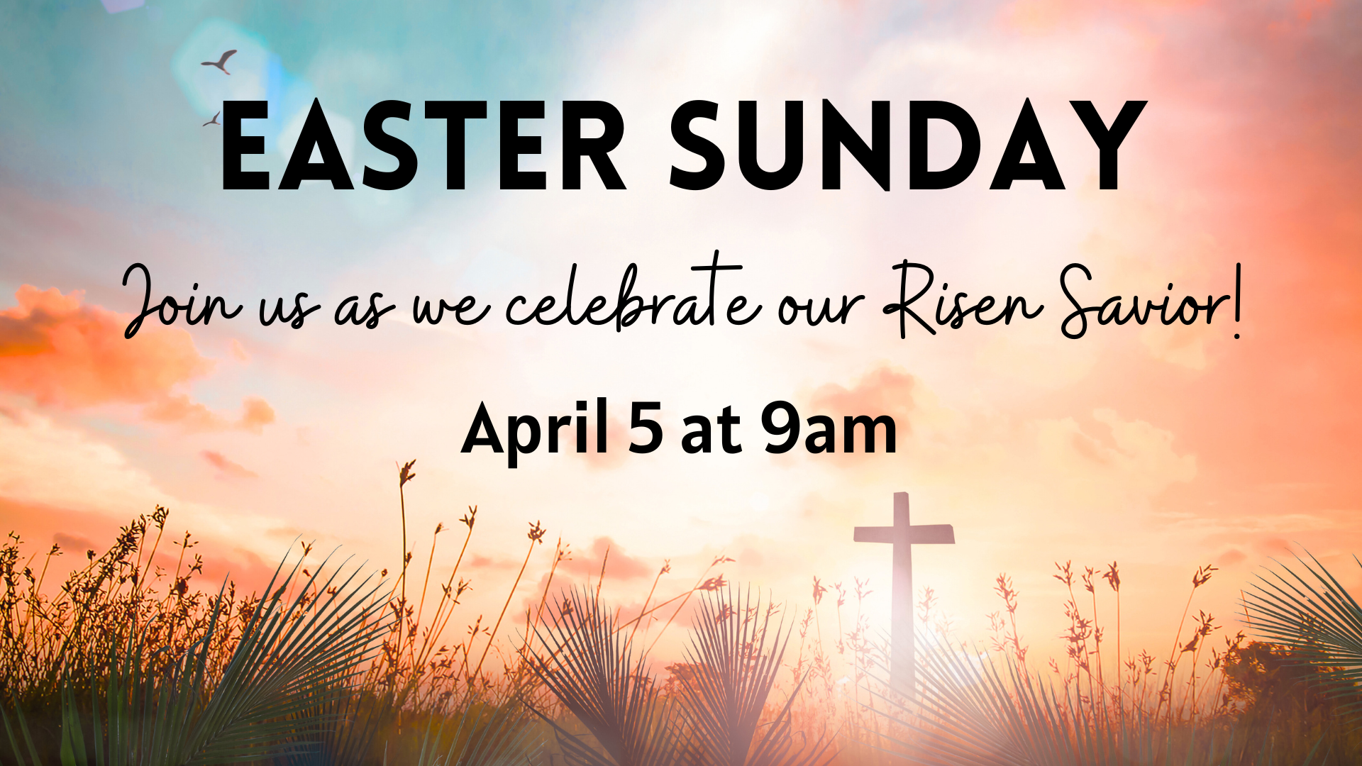 Easter Sunday-4-5-26.png