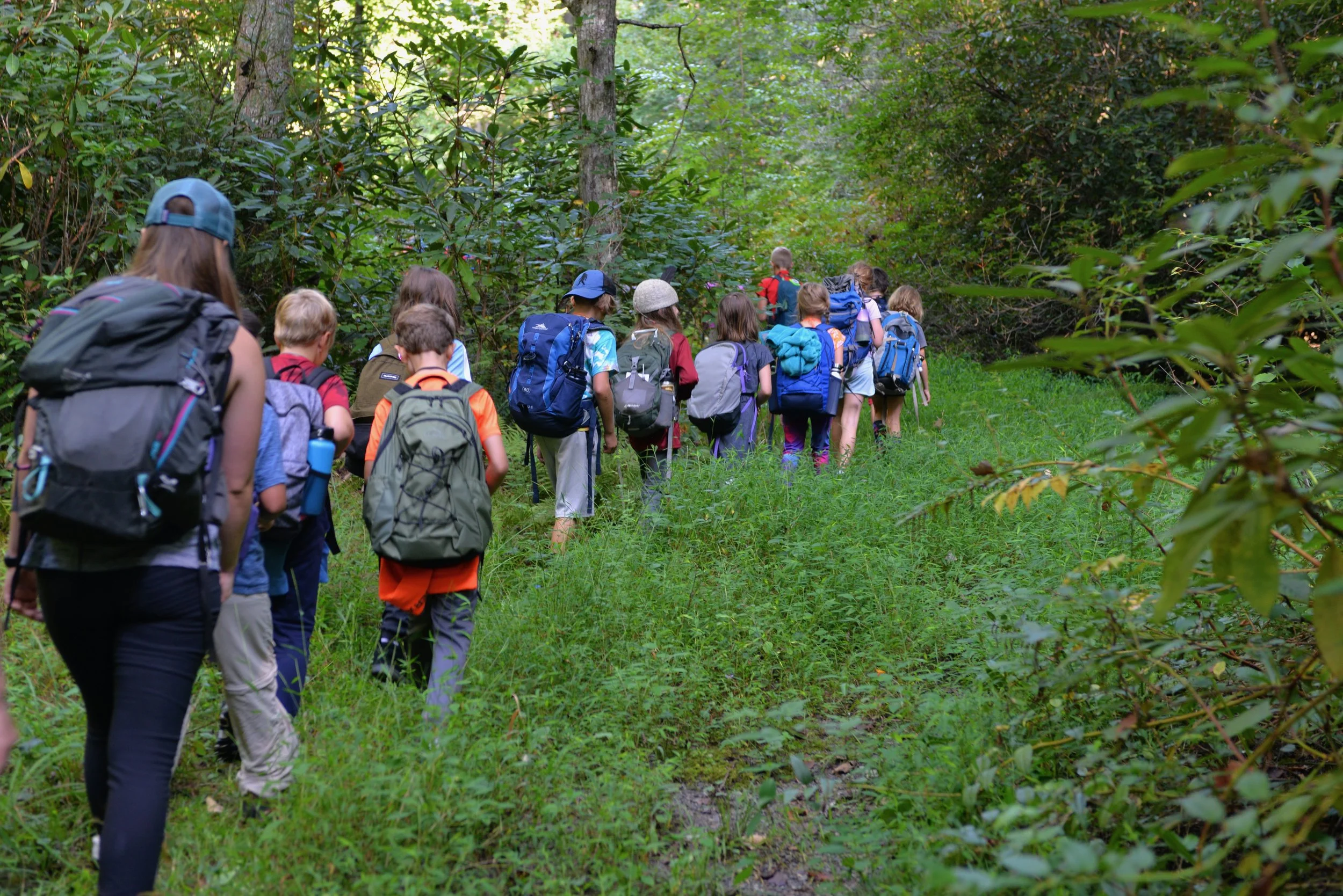students hiking