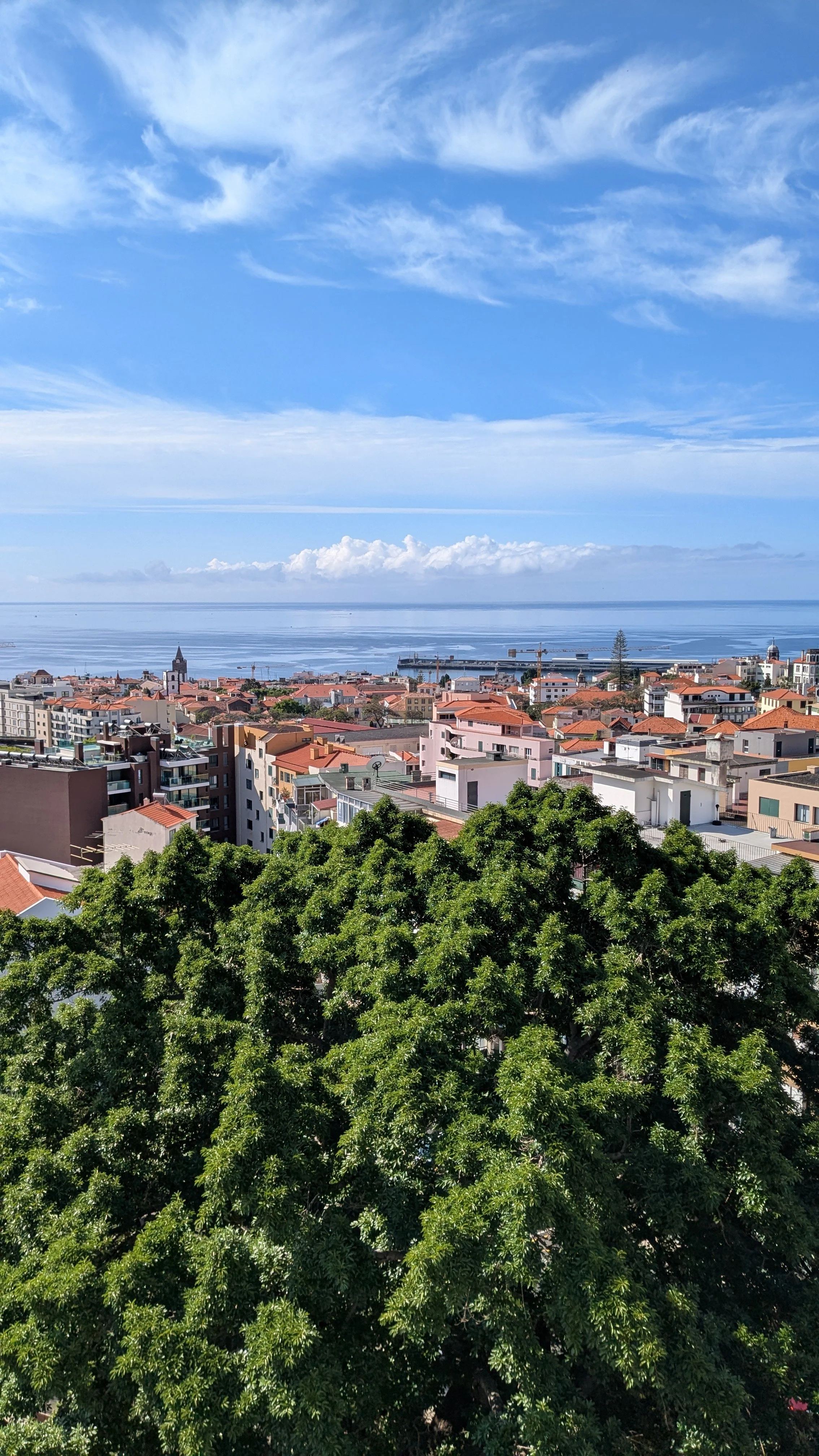 bom dia Funchal.jpg