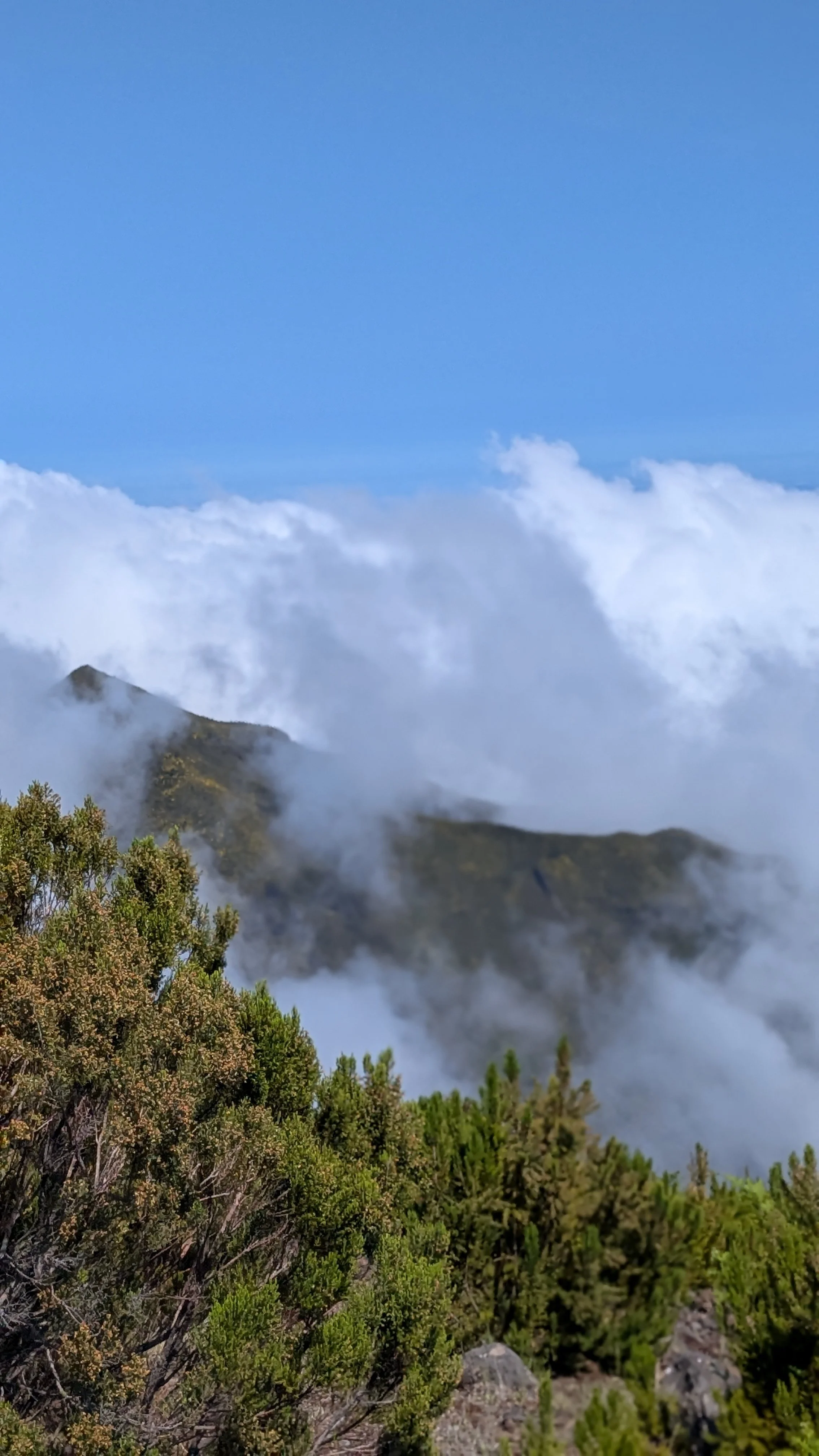 sky running in Madeira.jpg