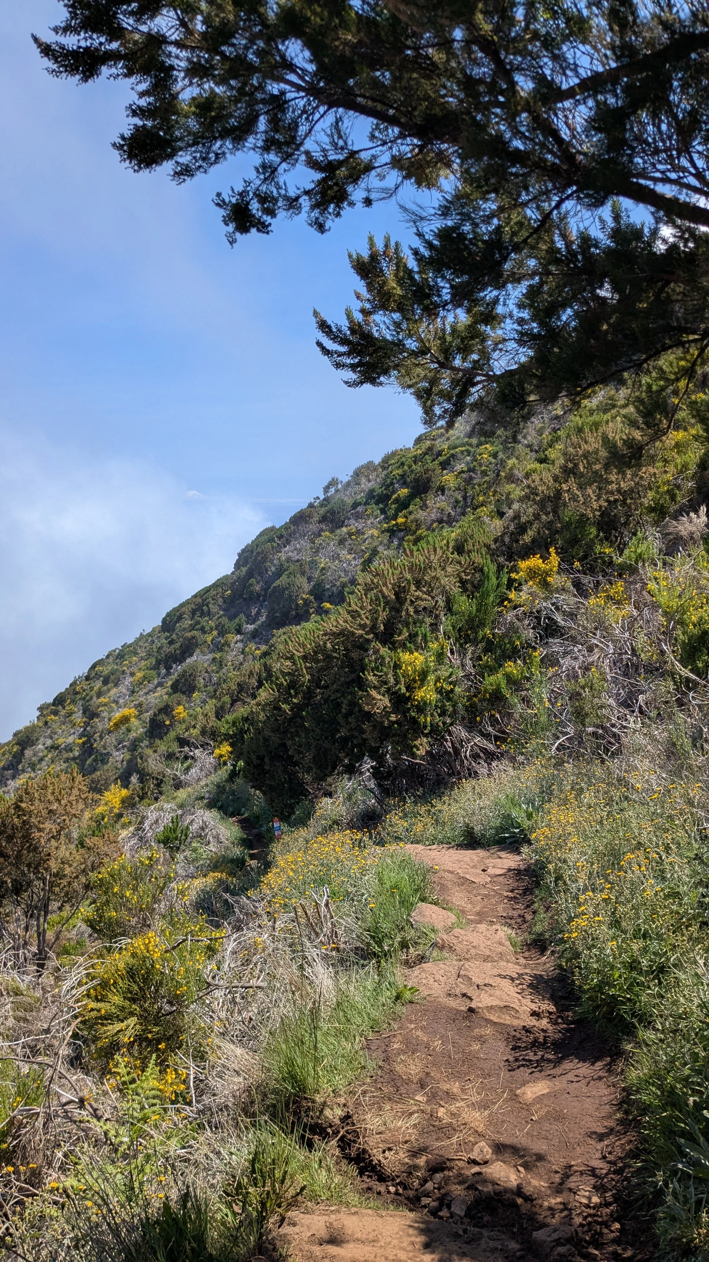 steep and long.jpg