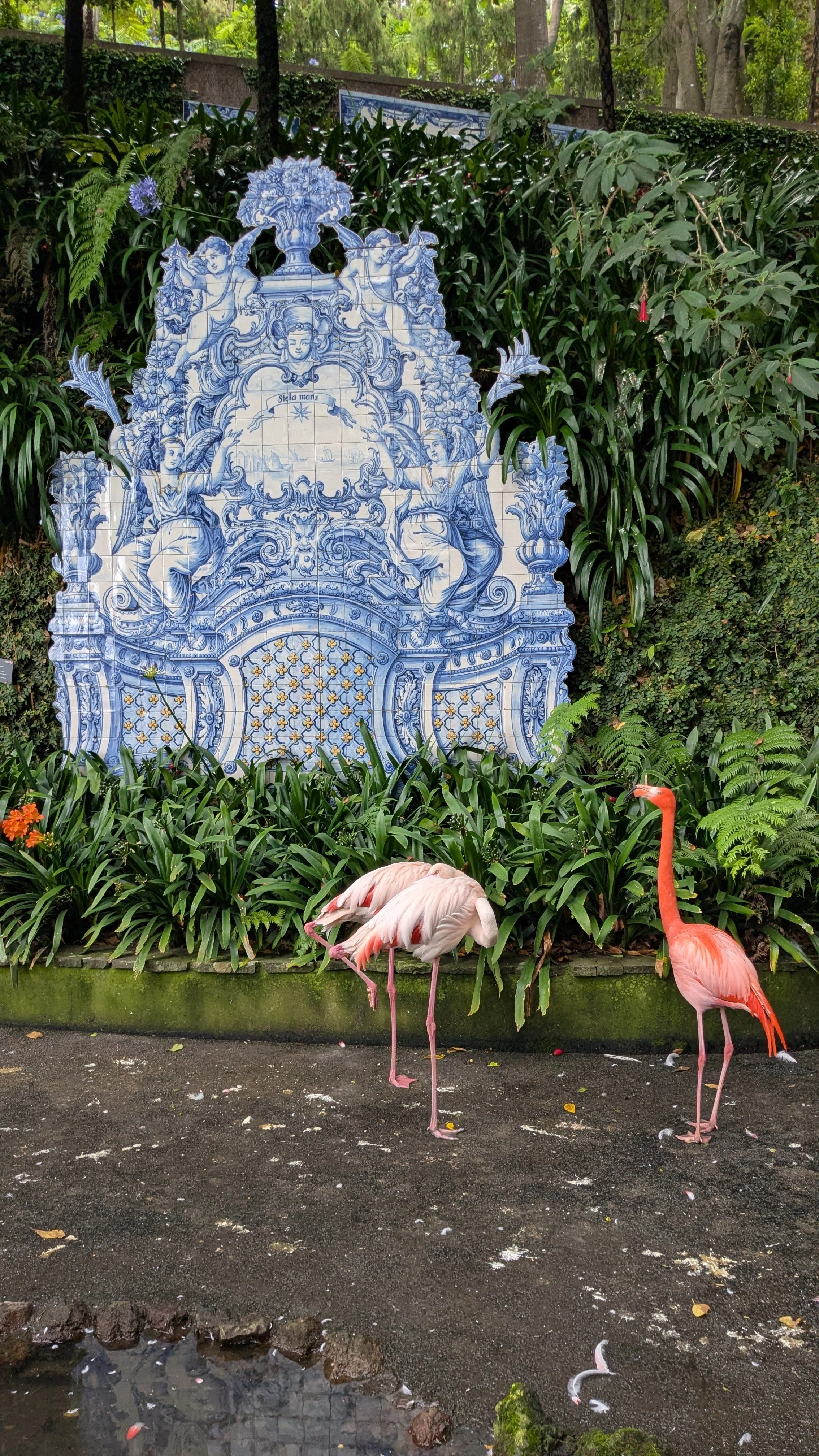 flamingo and fresco tile.jpg