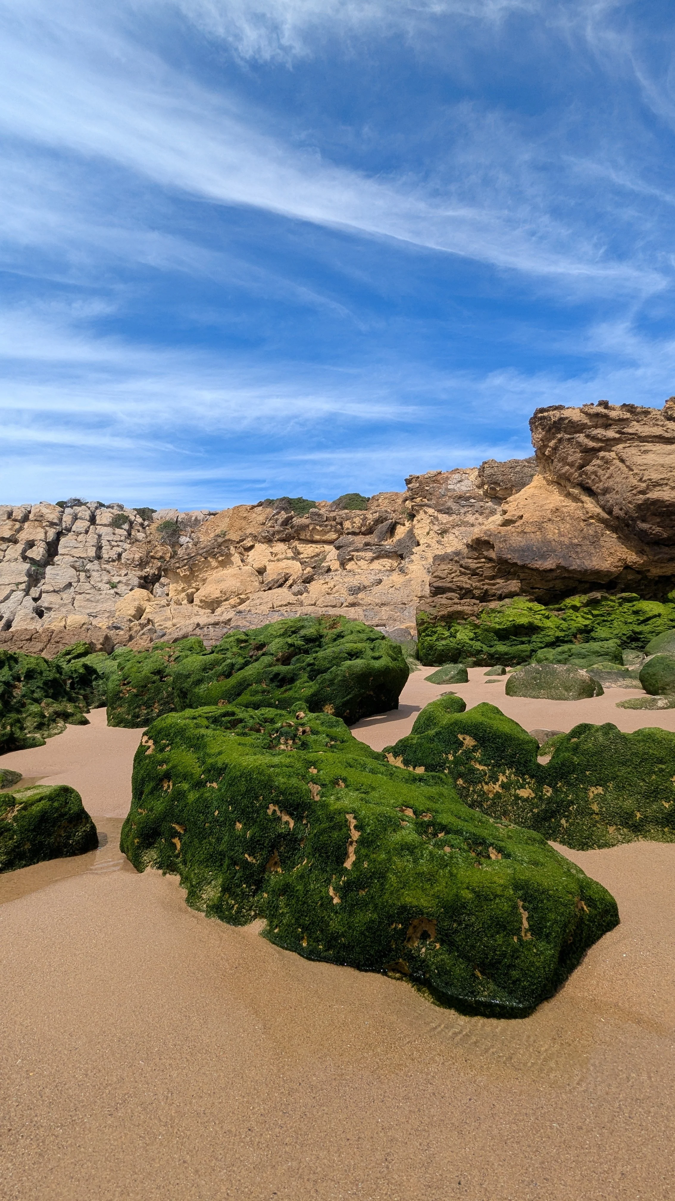 mossy rocks on the beach.jpg
