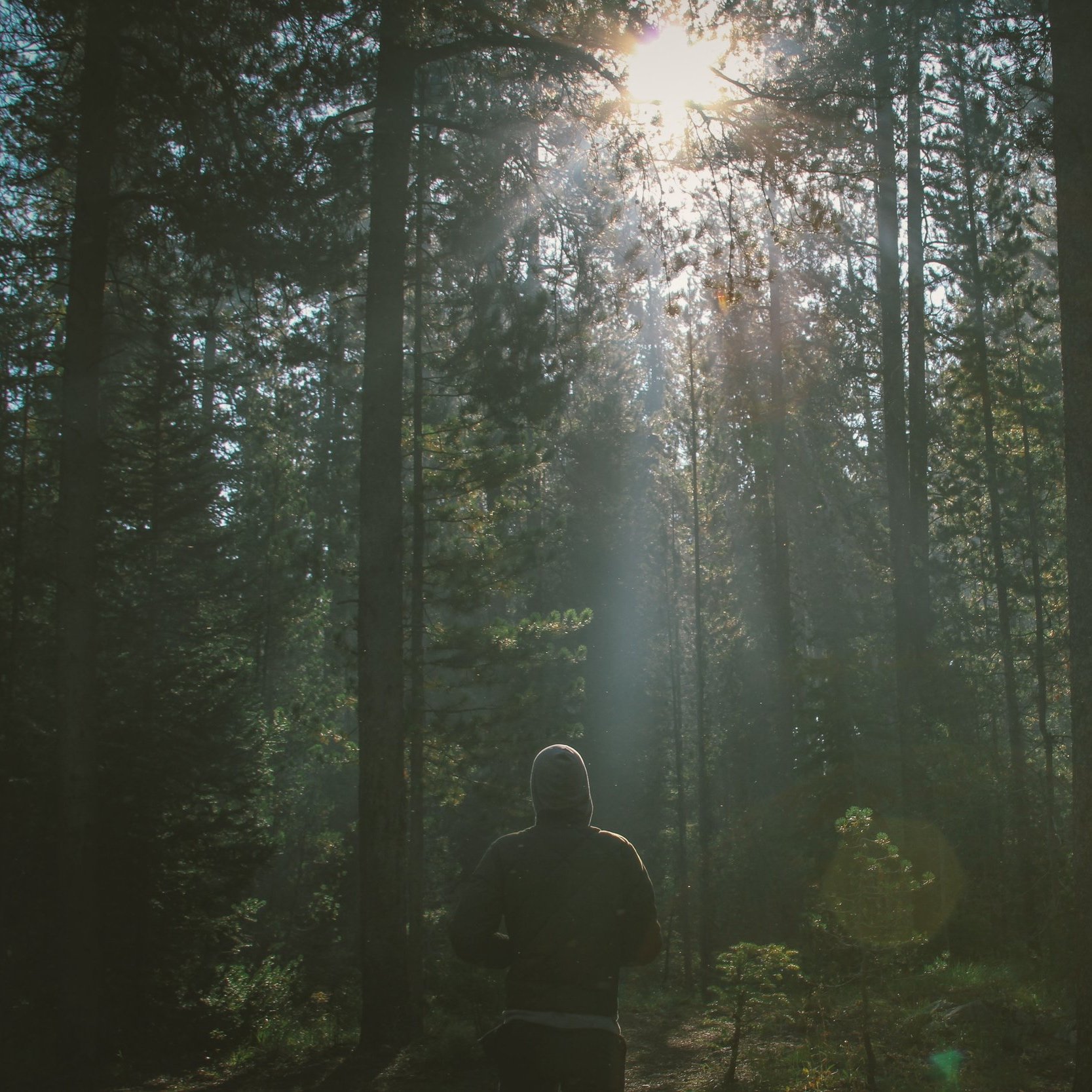 sitting in woods.jpg