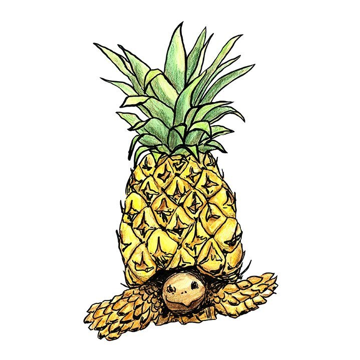 Pineapple Sticker