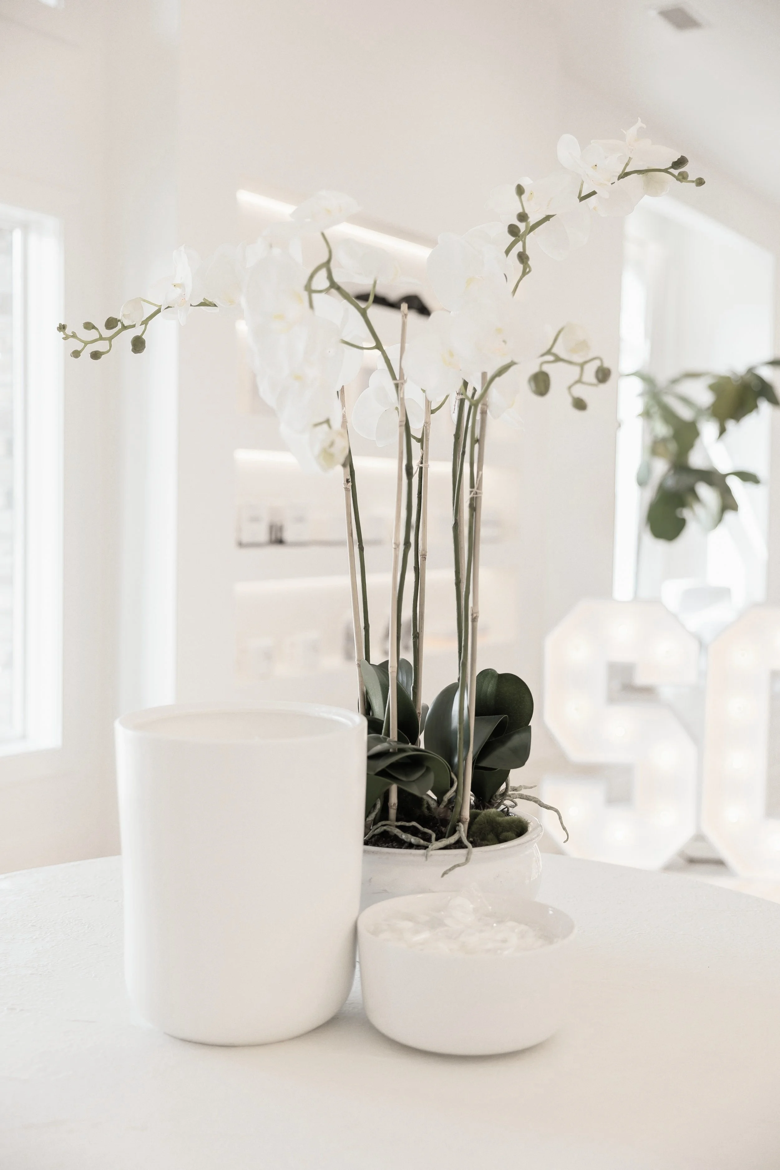 White orchid with large West Em candle and skincare products in the background at West Em Medical Spa