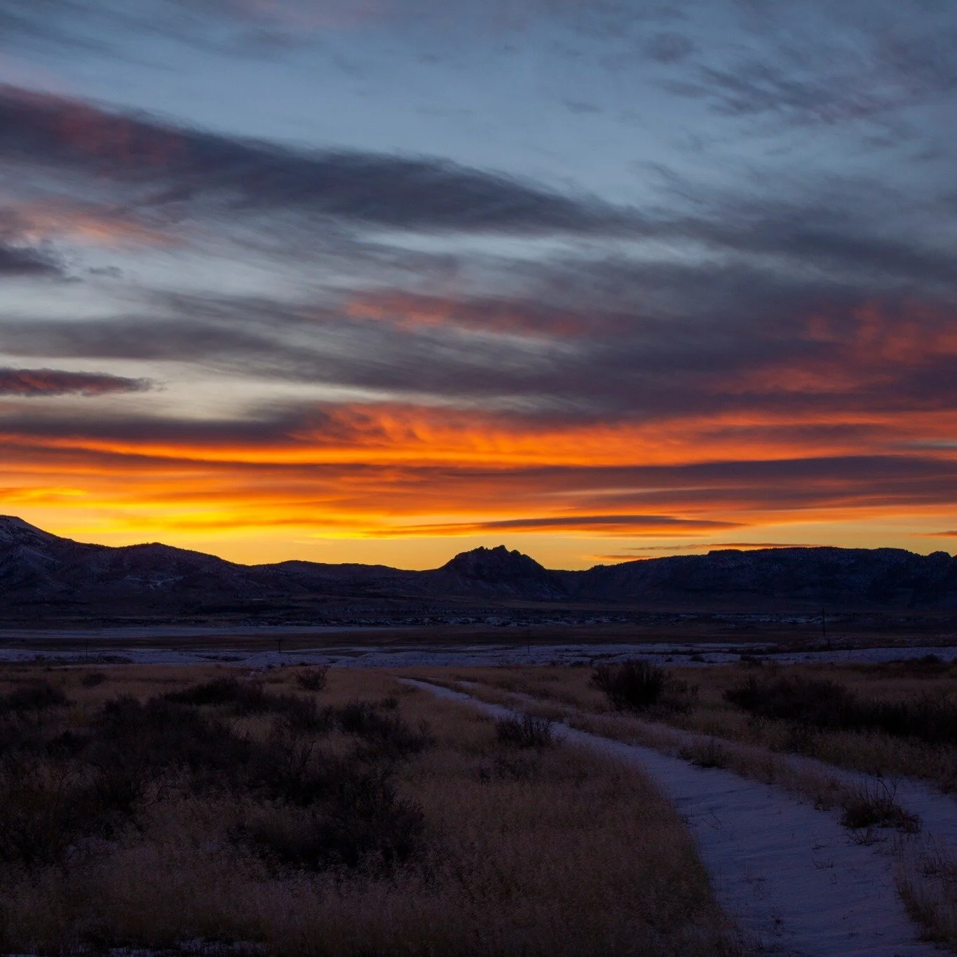 One hundred and fifty-four years ago at Promontory Summit just north of the Great Salt Lake the joining of the Transcontinental Railroad took place. This momentous event ushered in a new era for westward migration and joined the Union closer together