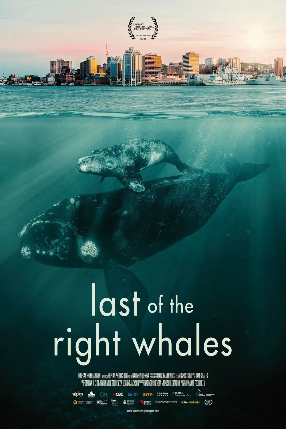 Last of the RIght Whales