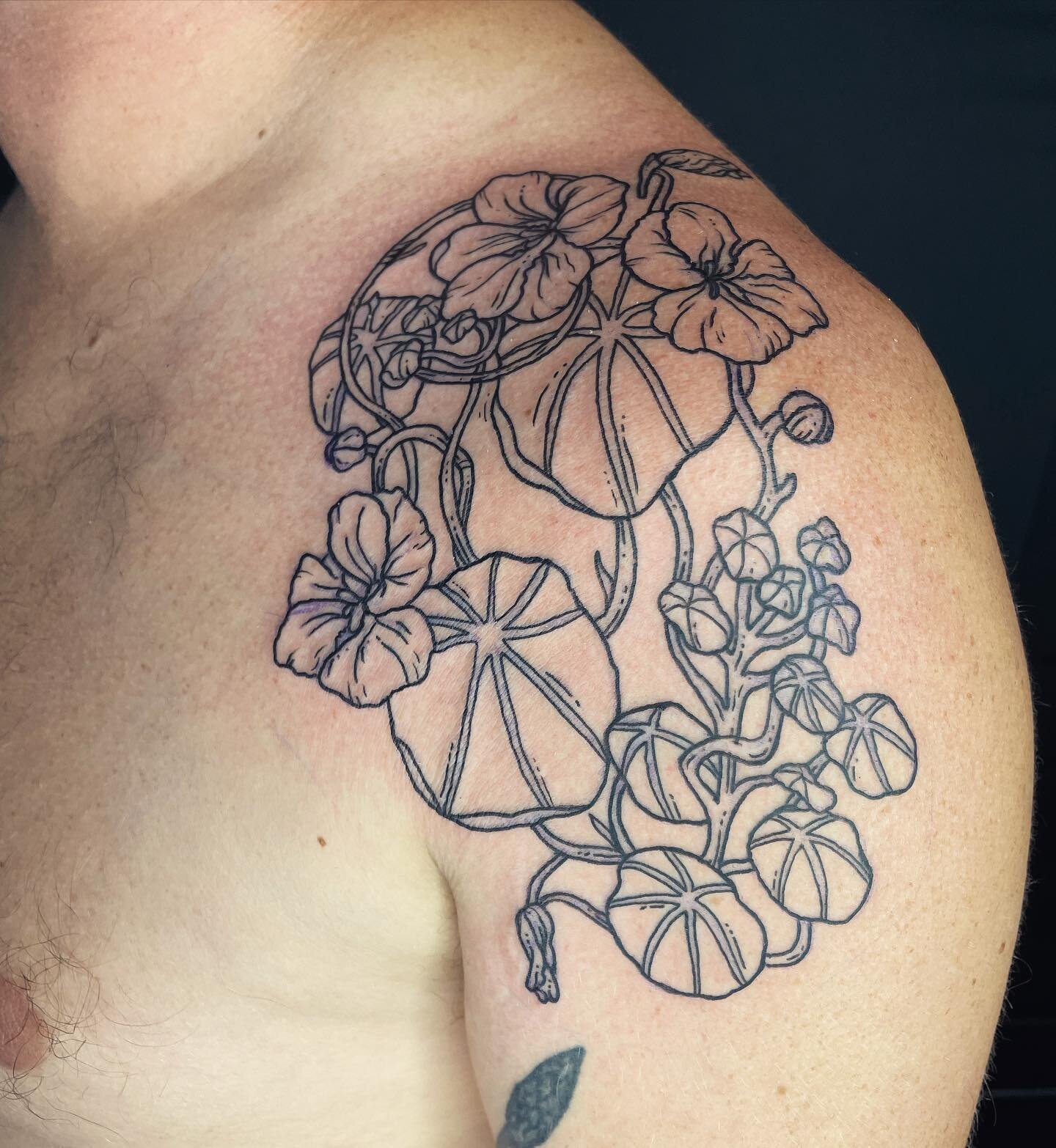 Nasturtium for kind Z! Good to catch up today!