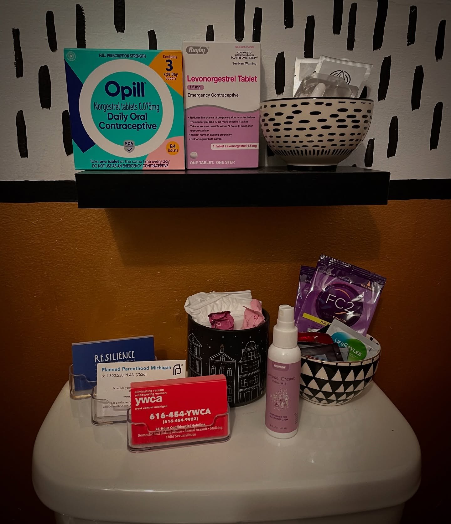 We got a good stash of morning after pills, birth control, condoms, lube and forms for Medicaid applications, all free and shipped to us from MDHHS! We have a stash in our bathroom and as weather permits we will keep the free library stacked outside 