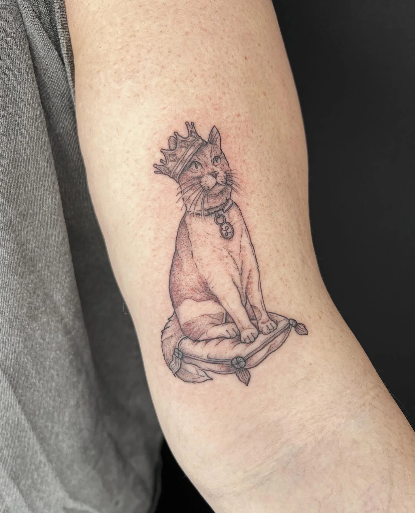 Twas an honor doing this little guy for S ❤️ thank you for letting me honor your regal little man! 
.
.
.
.
#tattooartist #michigantattooartist #grandrapidstattooartist #femaletattooartists #cattoo