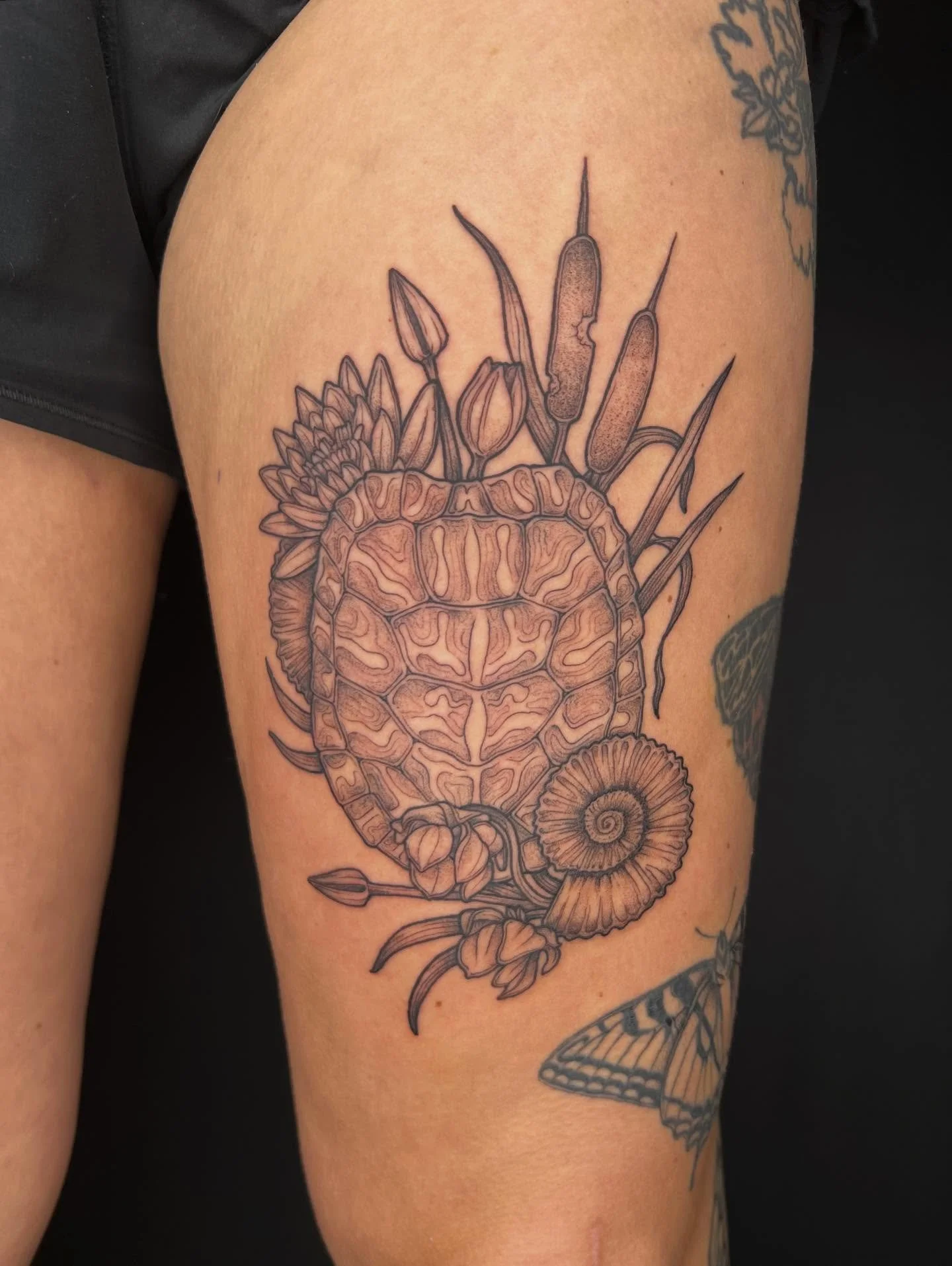 Super fun turtle shell / ammonite combo with marsh plants for @emku_tattoo ❤️🌿 love ya bunches buddy! And thank you for trusting me to tattoo you!
.
.
.
.
#naturetattoo #blackandgreytattoo #michigantattooartist #grandrapidstattoo #femaletattooer