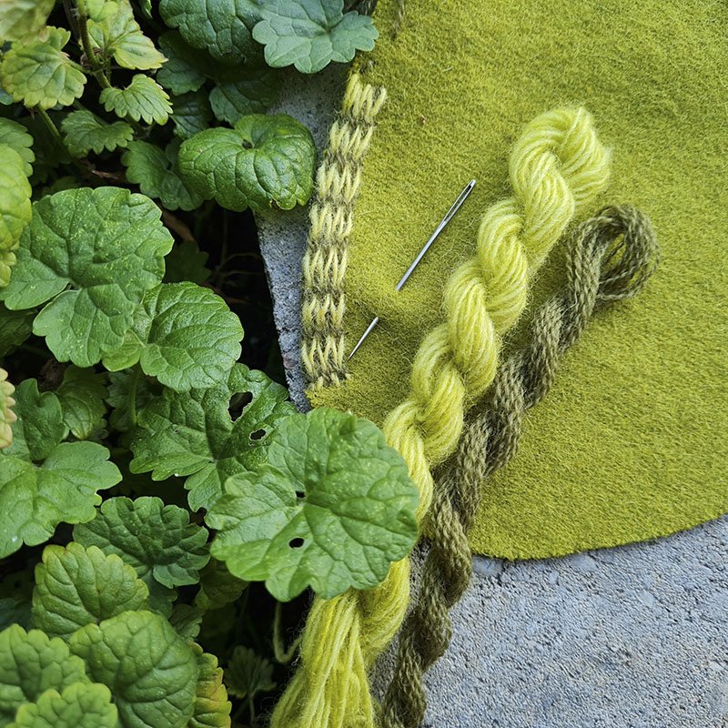 20210730_202710 Yes web.jpg