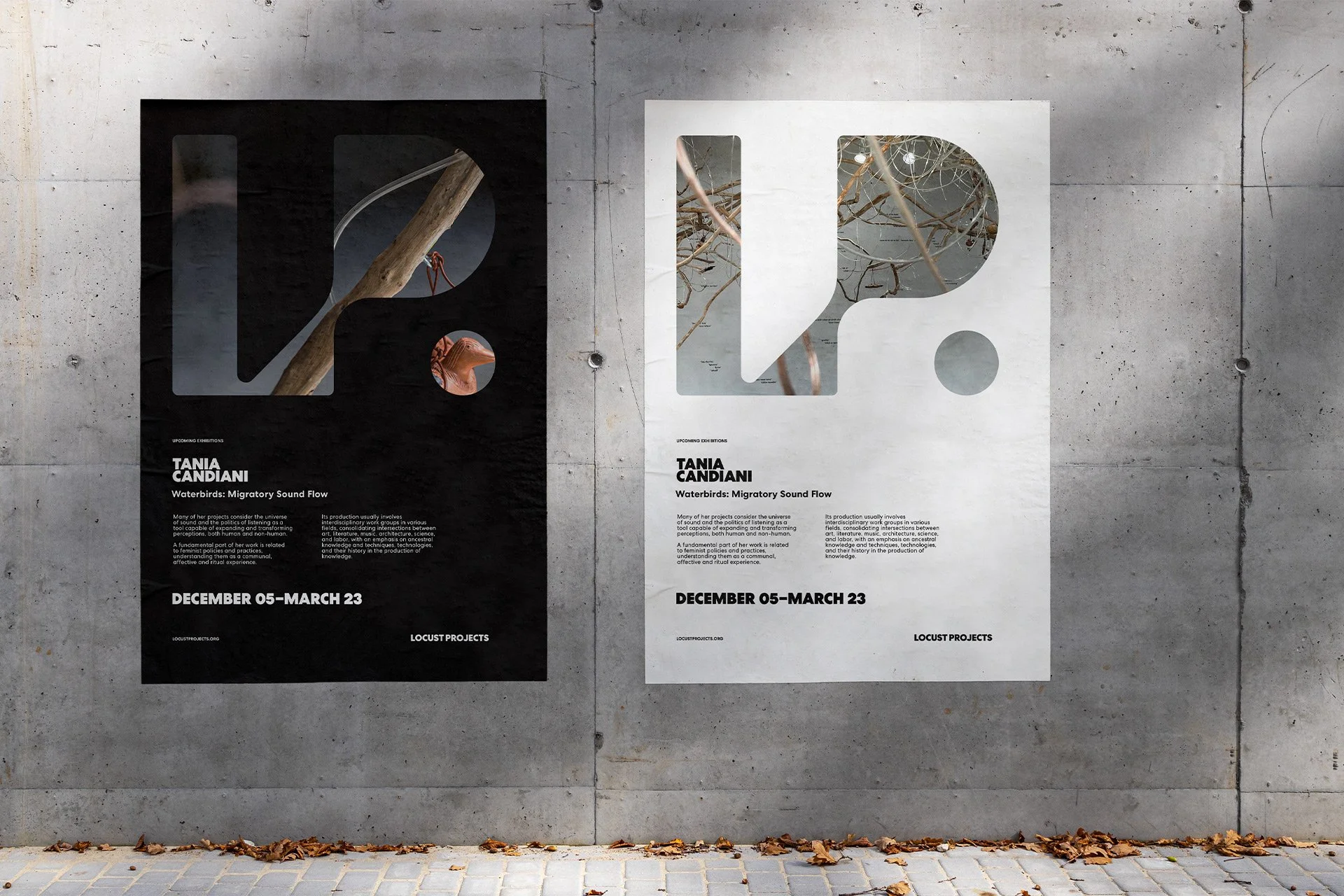 4-POSTERS_Jacober_Creative_Branding_Locust_Projects.jpg