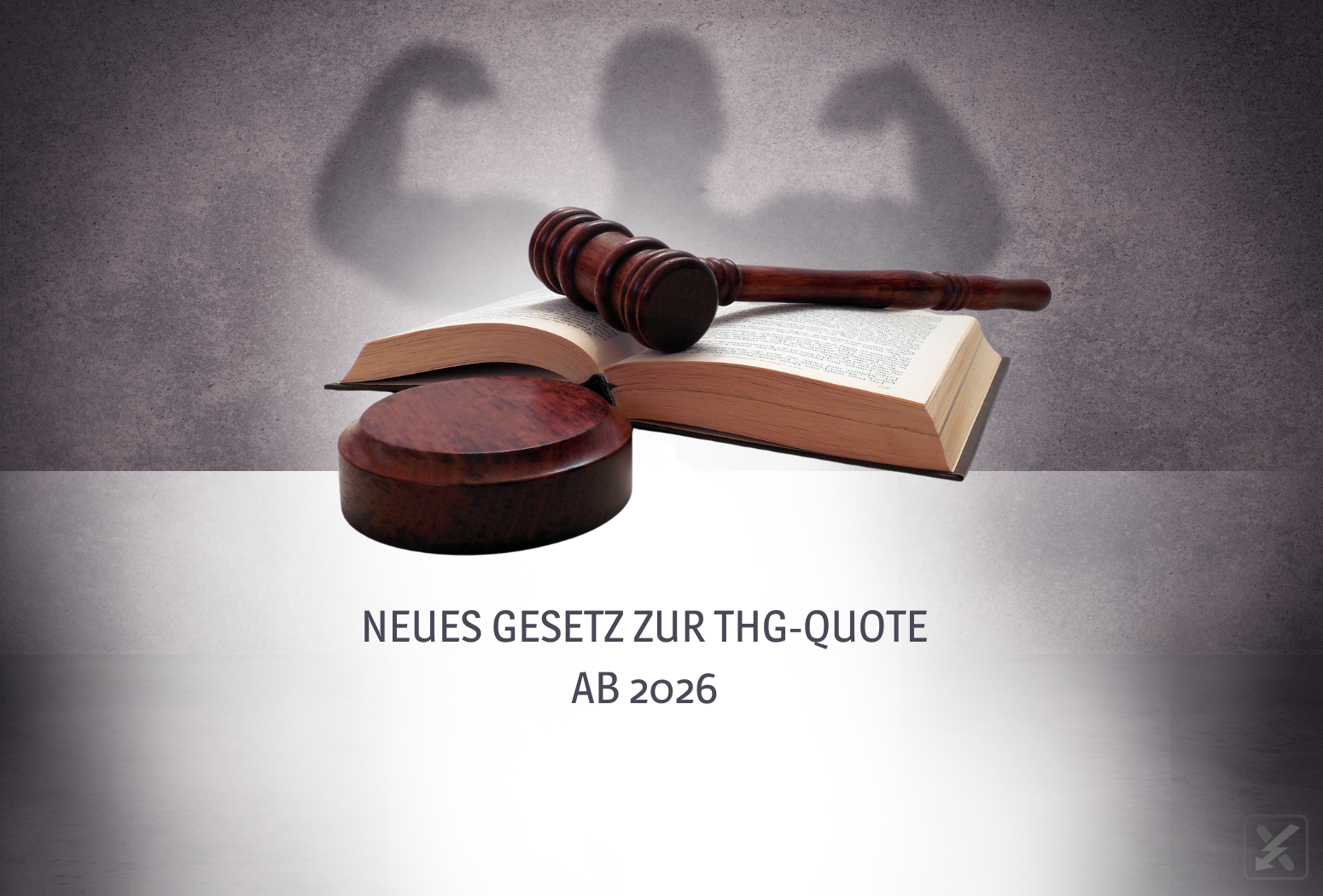 Neuer Kabinettsbeschluss zur THG-Quote: Was bedeutet das für Elektromobilität, Strom und RFNBO-Wasserstoff?&nbsp;