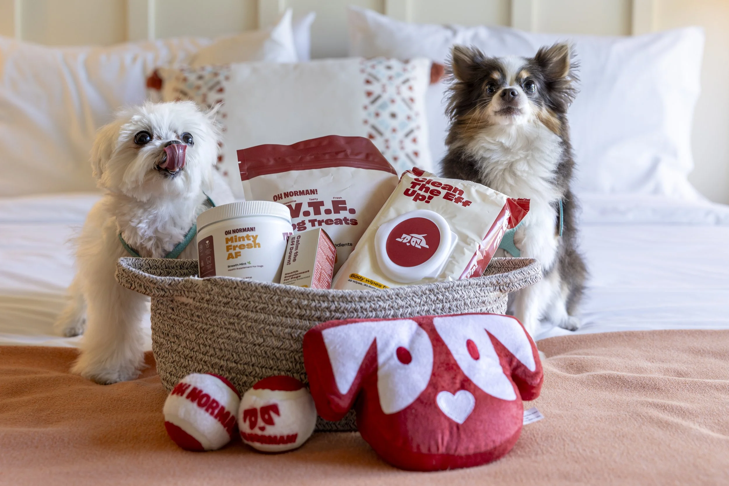 Two small dogs, one white and the other brown and black, sitting beside a basket filled with various pet products, including bags labeled 'Clean The EFF Up!', a container with 'Minty Fresh AF', and plush toys, on a bed with pillows and a blanket.